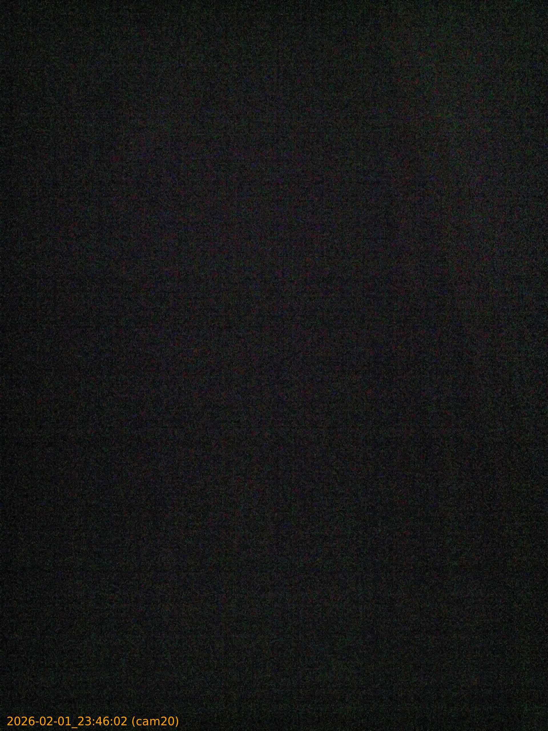 thumbnail_20260201234602