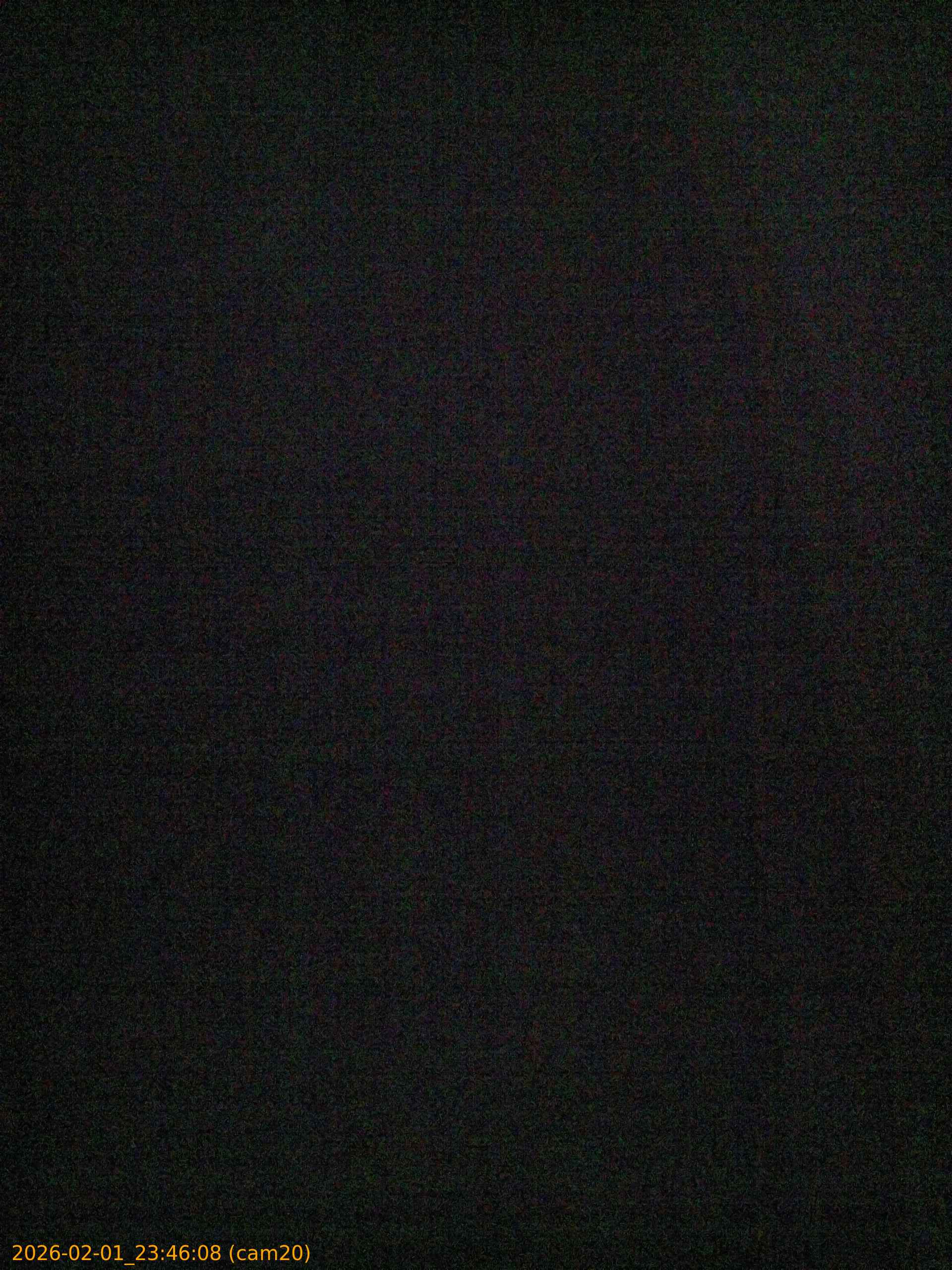 thumbnail_20260201234608