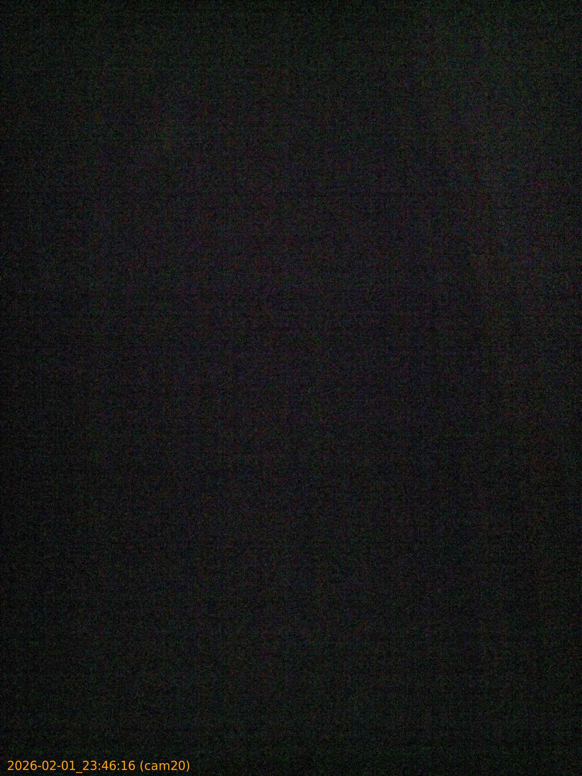 thumbnail_20260201234616