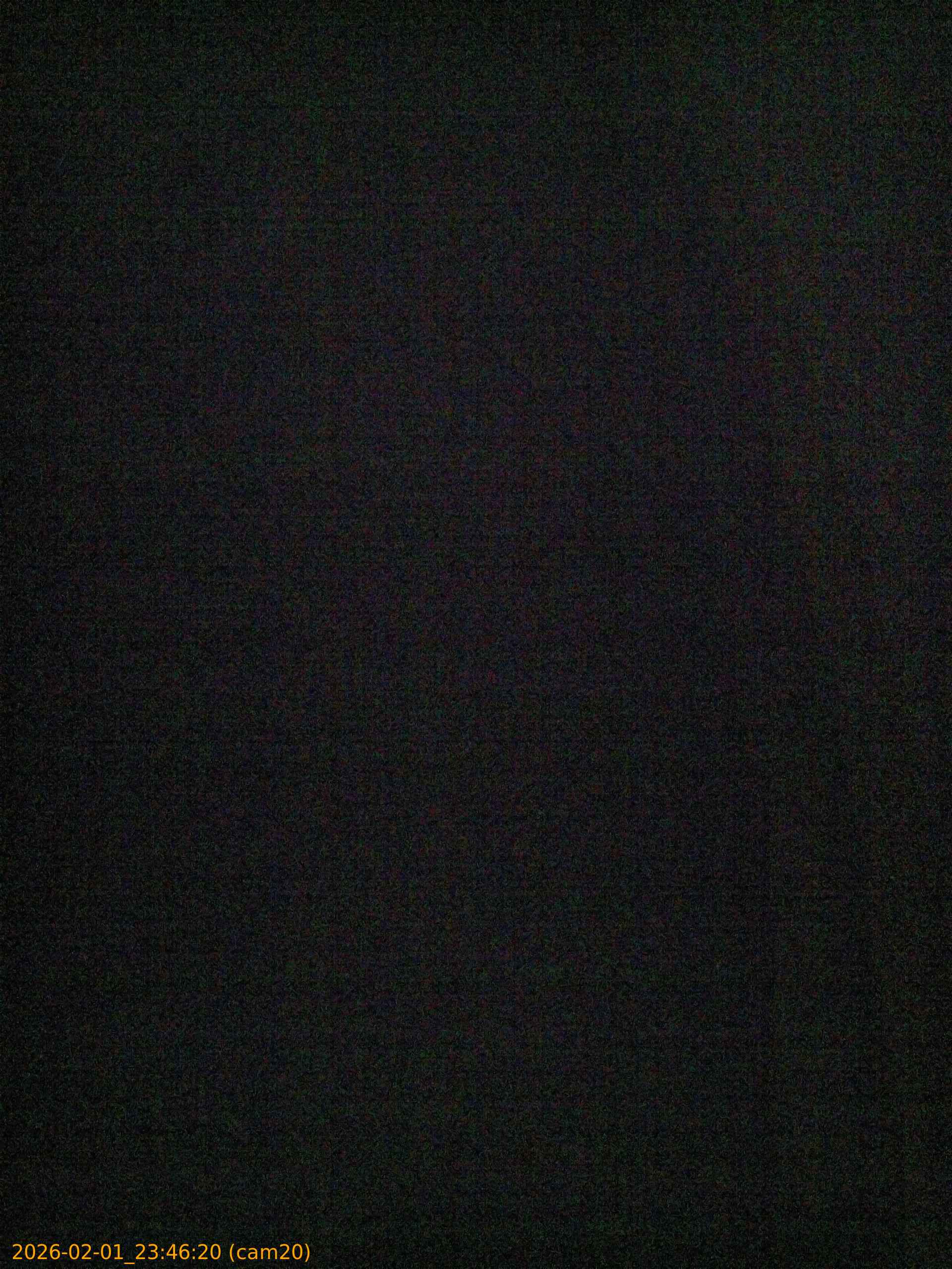 thumbnail_20260201234620