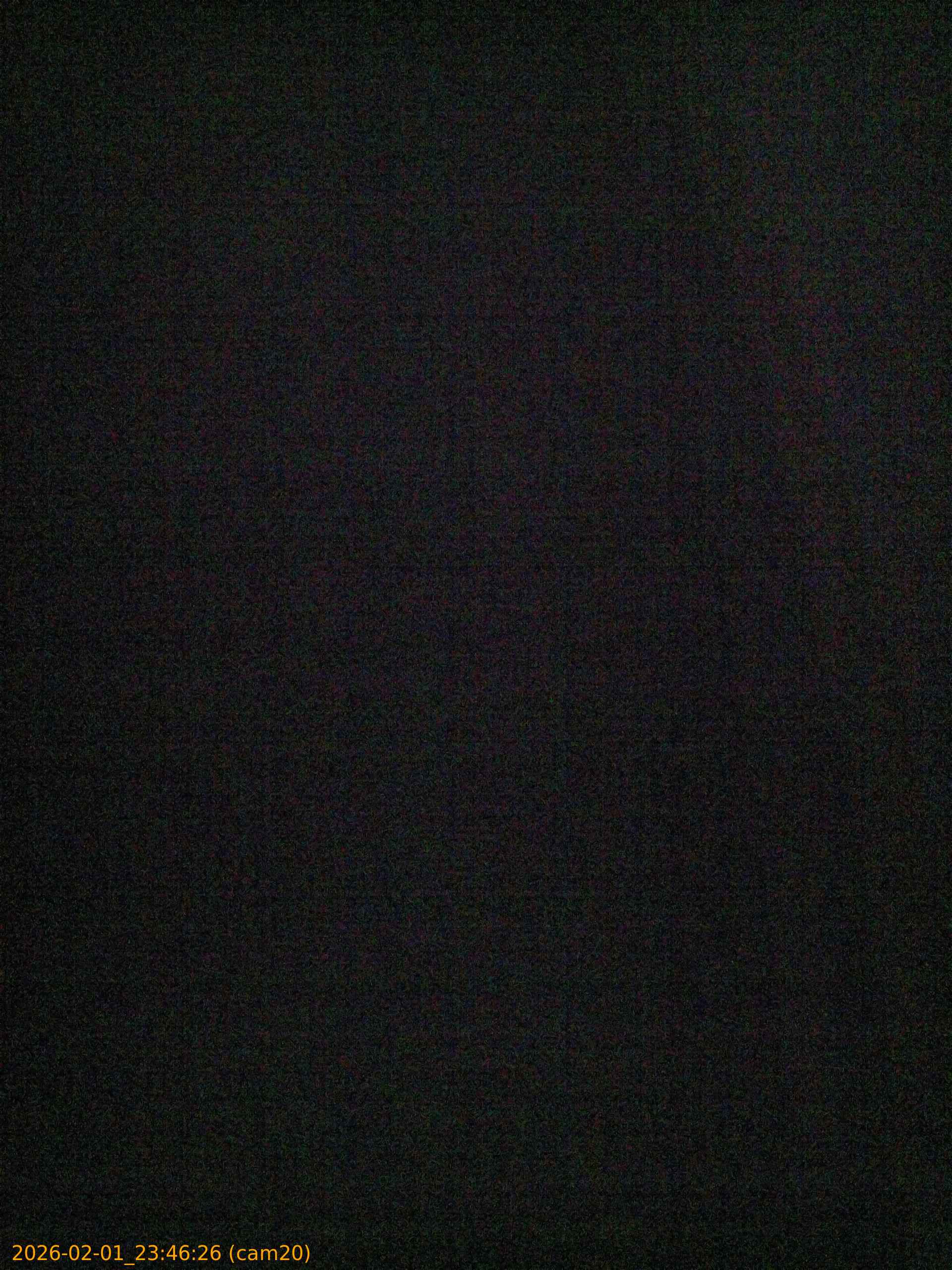 thumbnail_20260201234626