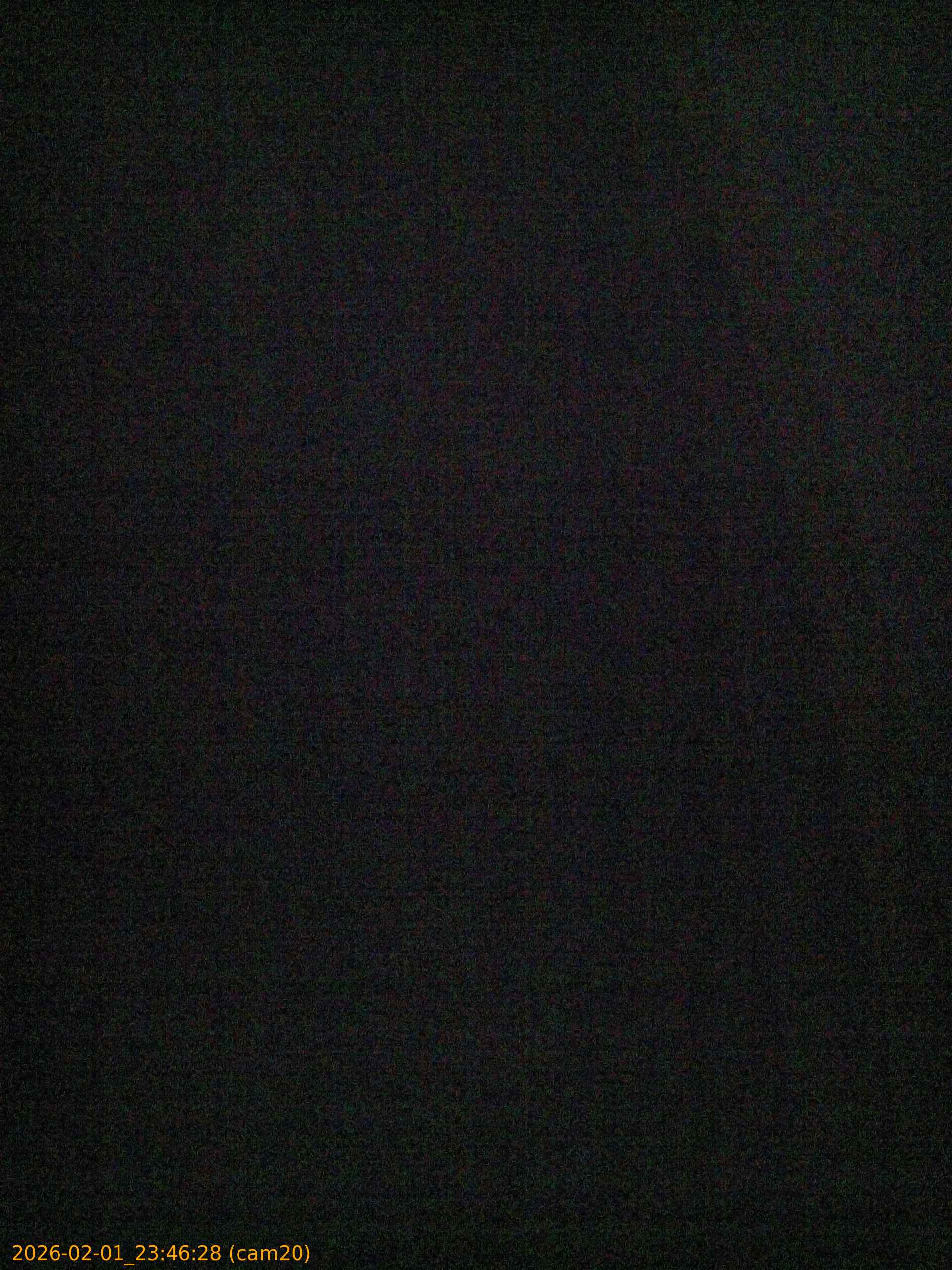 thumbnail_20260201234628