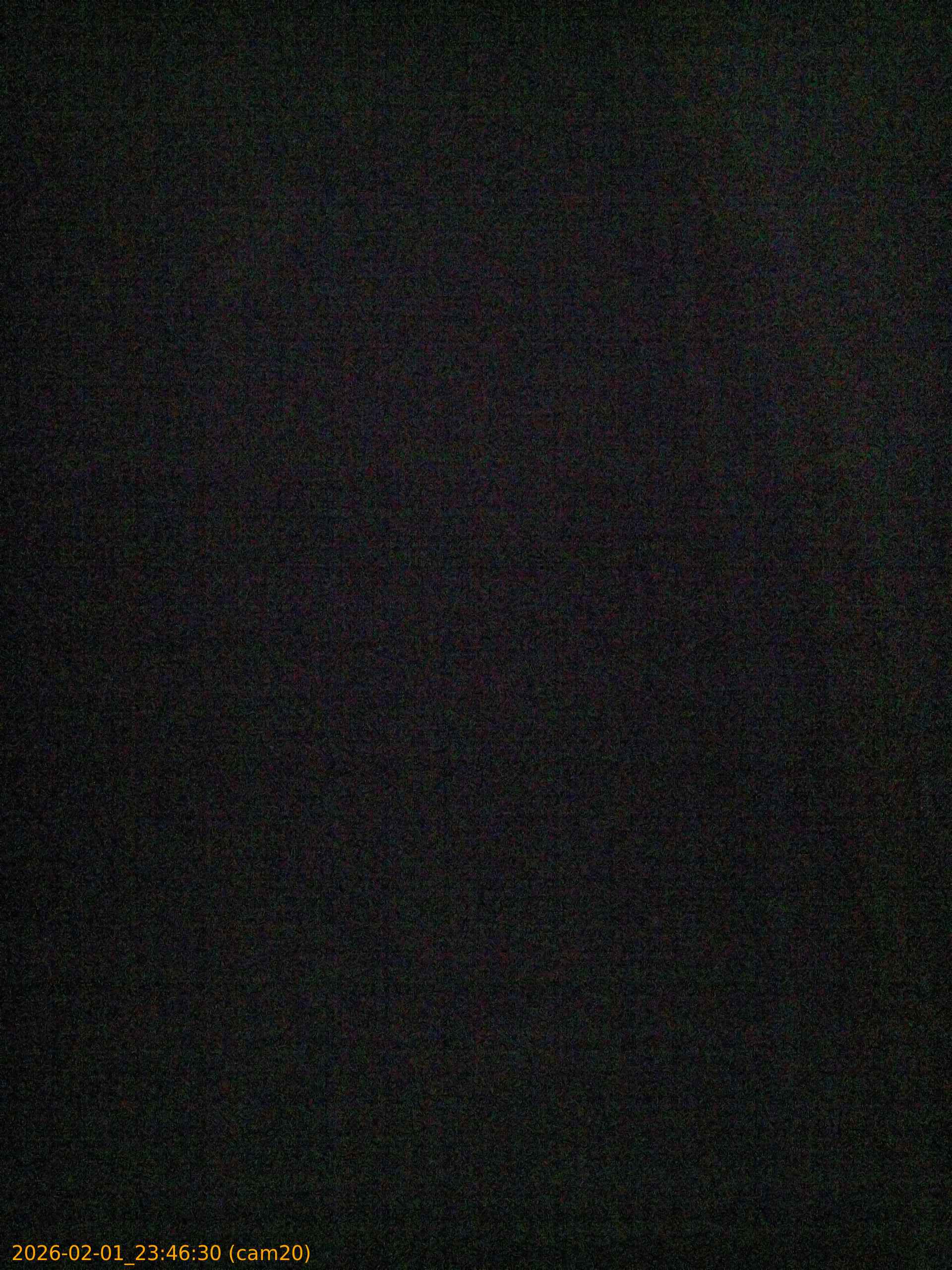 thumbnail_20260201234630