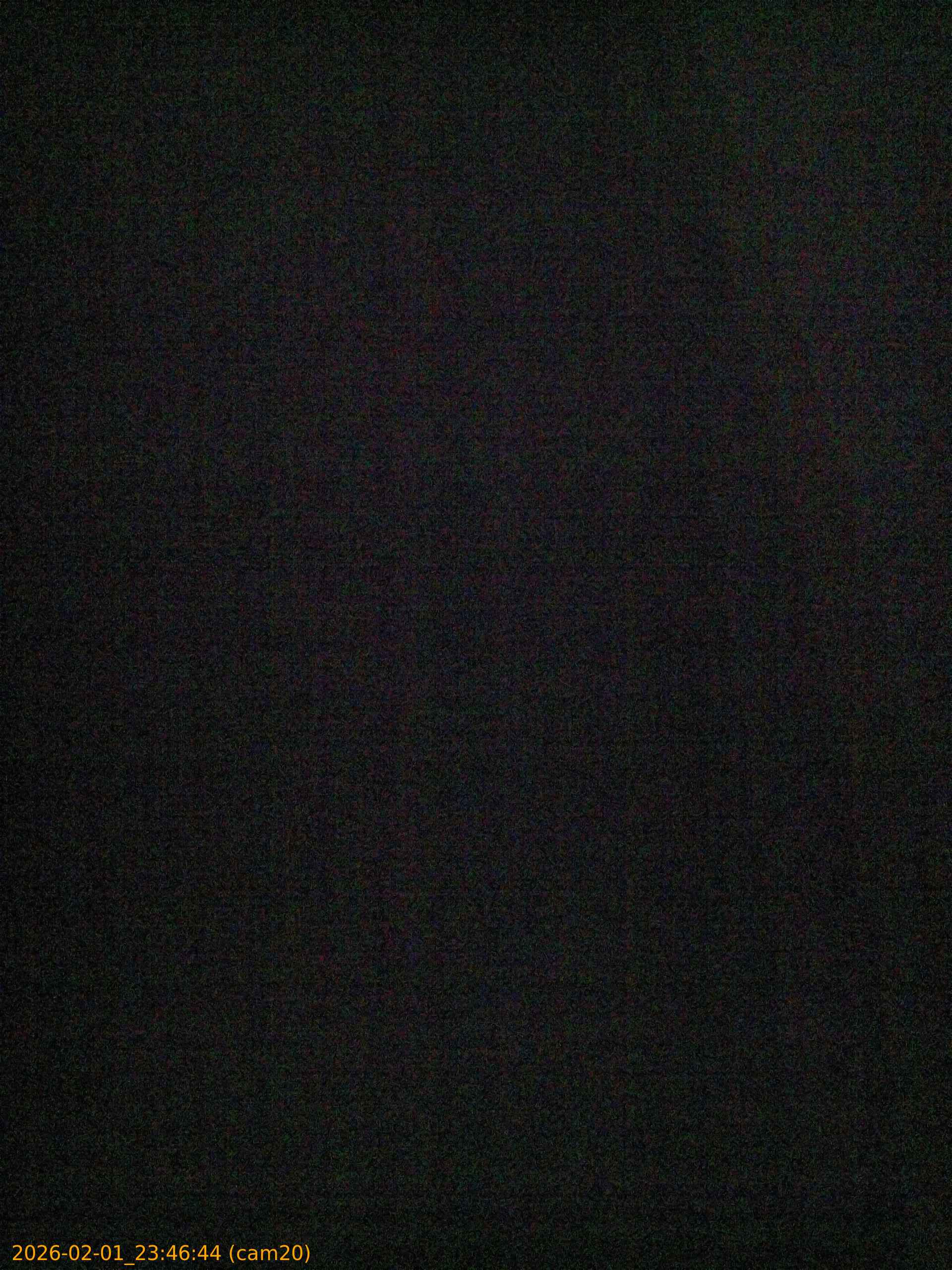 thumbnail_20260201234644