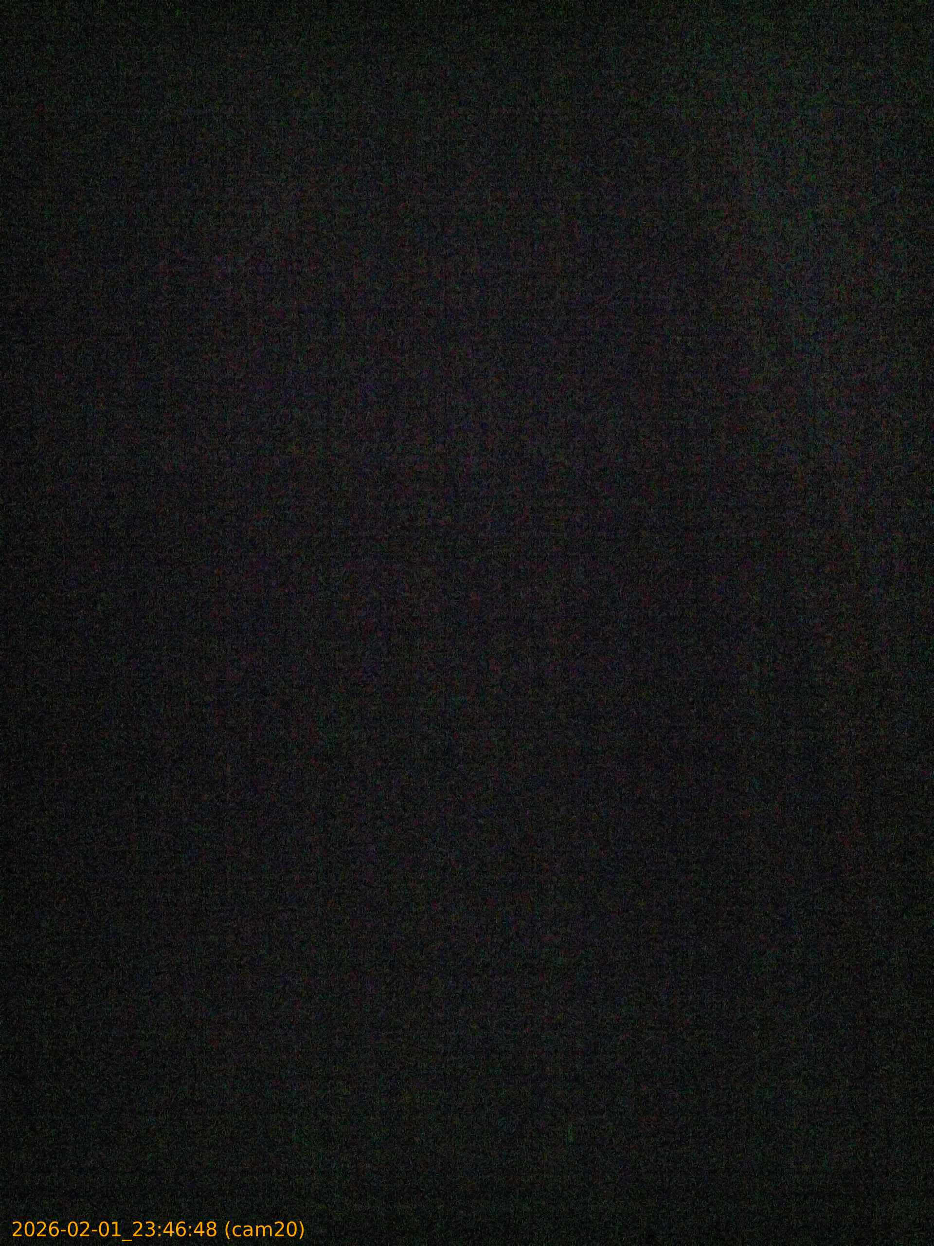 thumbnail_20260201234648