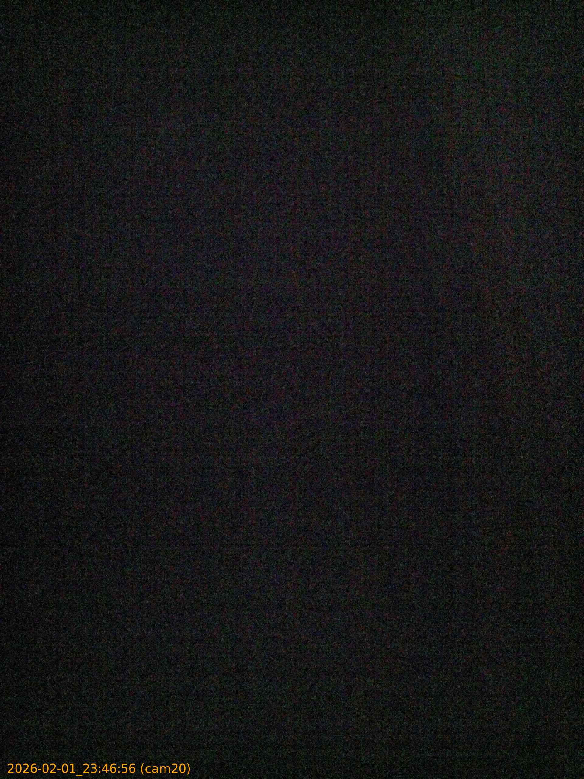 thumbnail_20260201234656