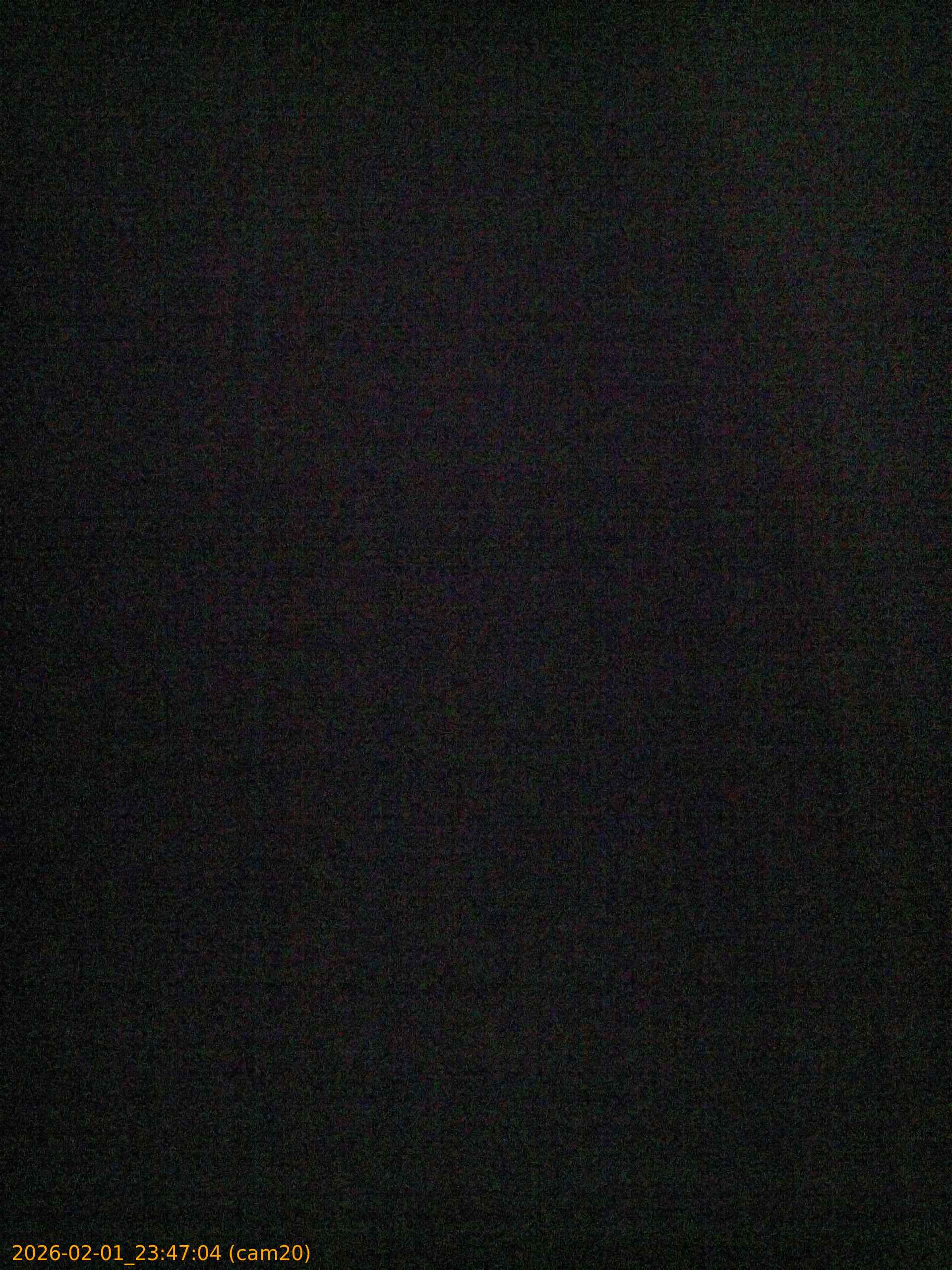 thumbnail_20260201234704