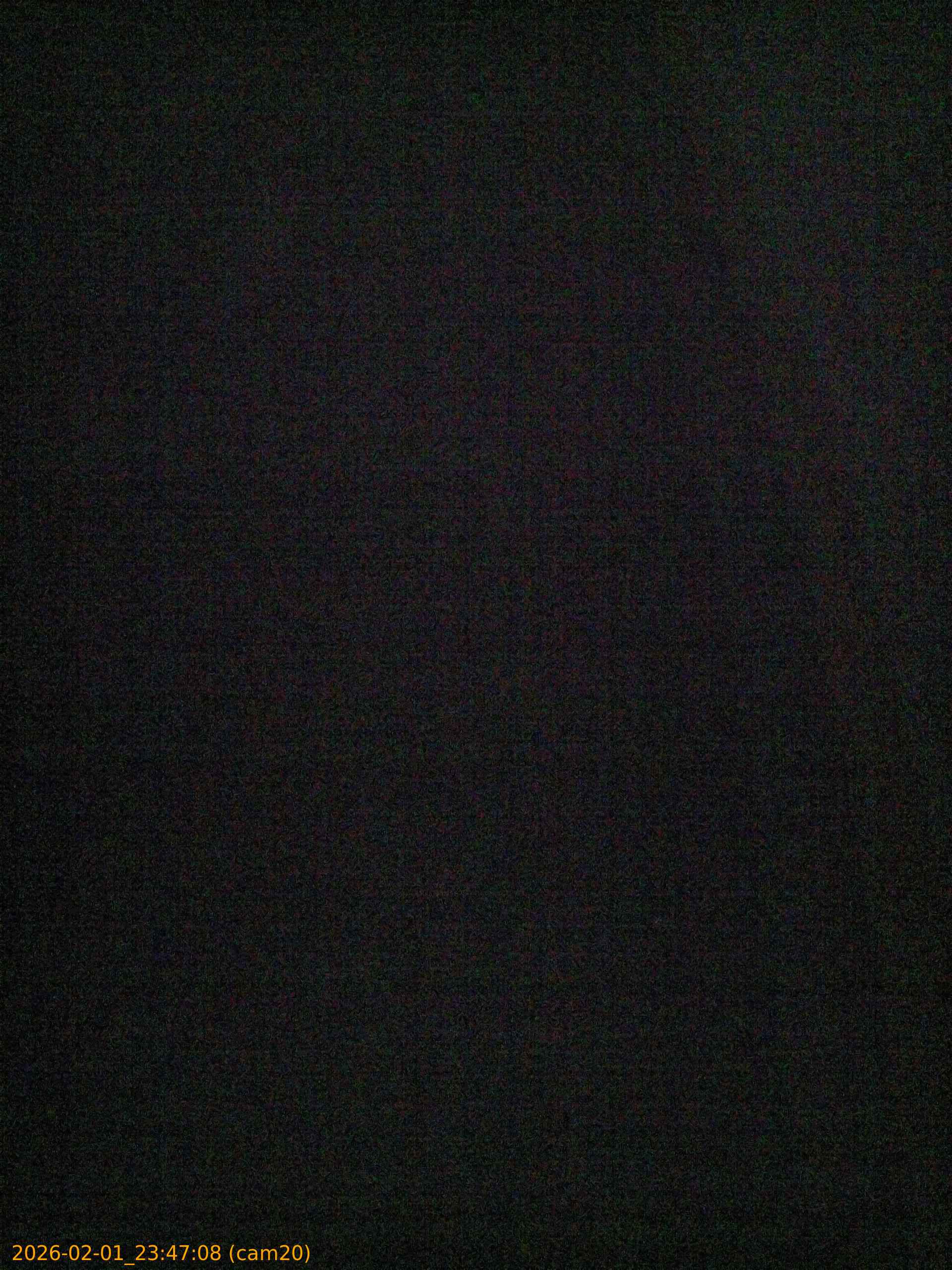 thumbnail_20260201234708