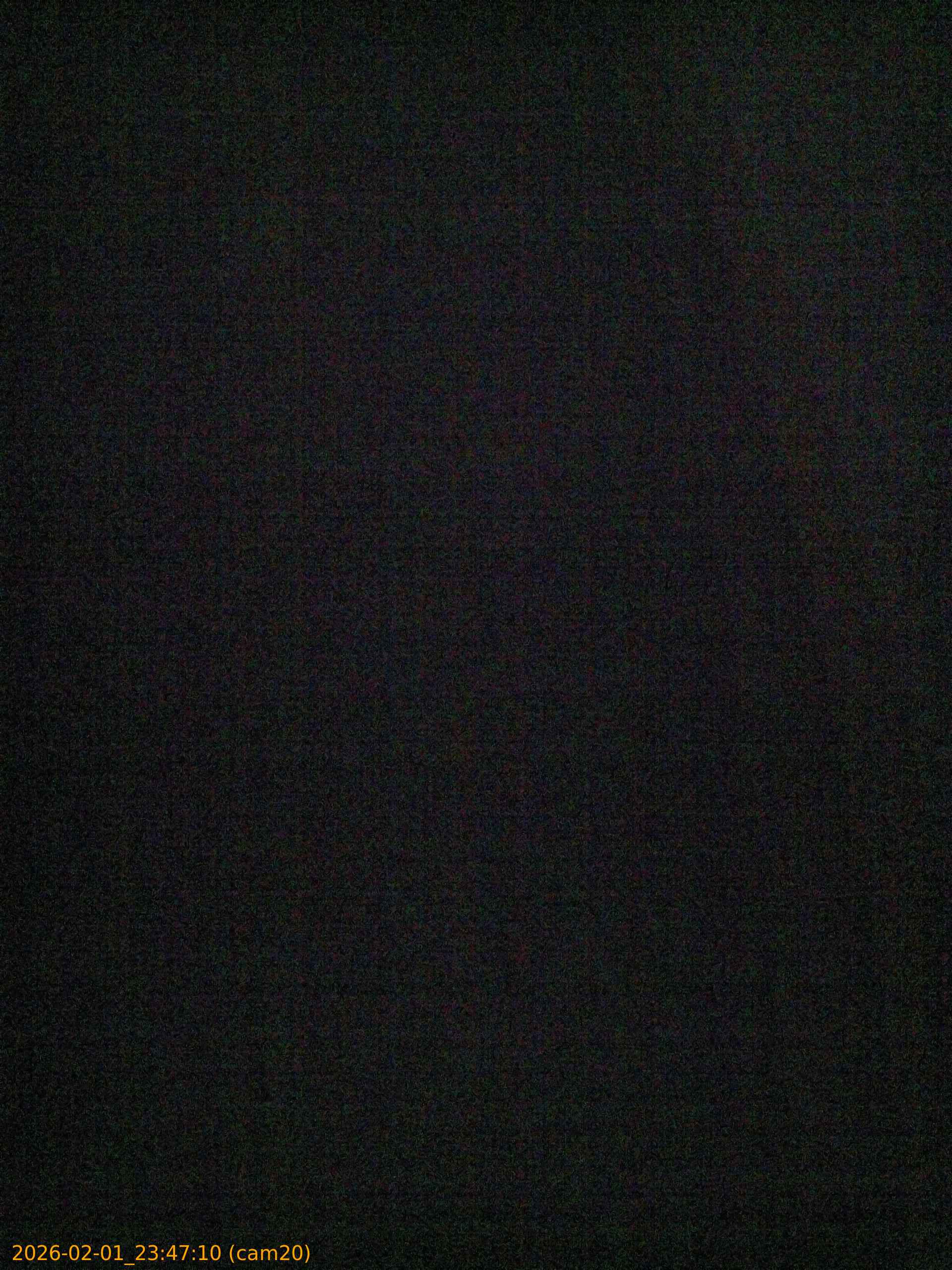 thumbnail_20260201234710