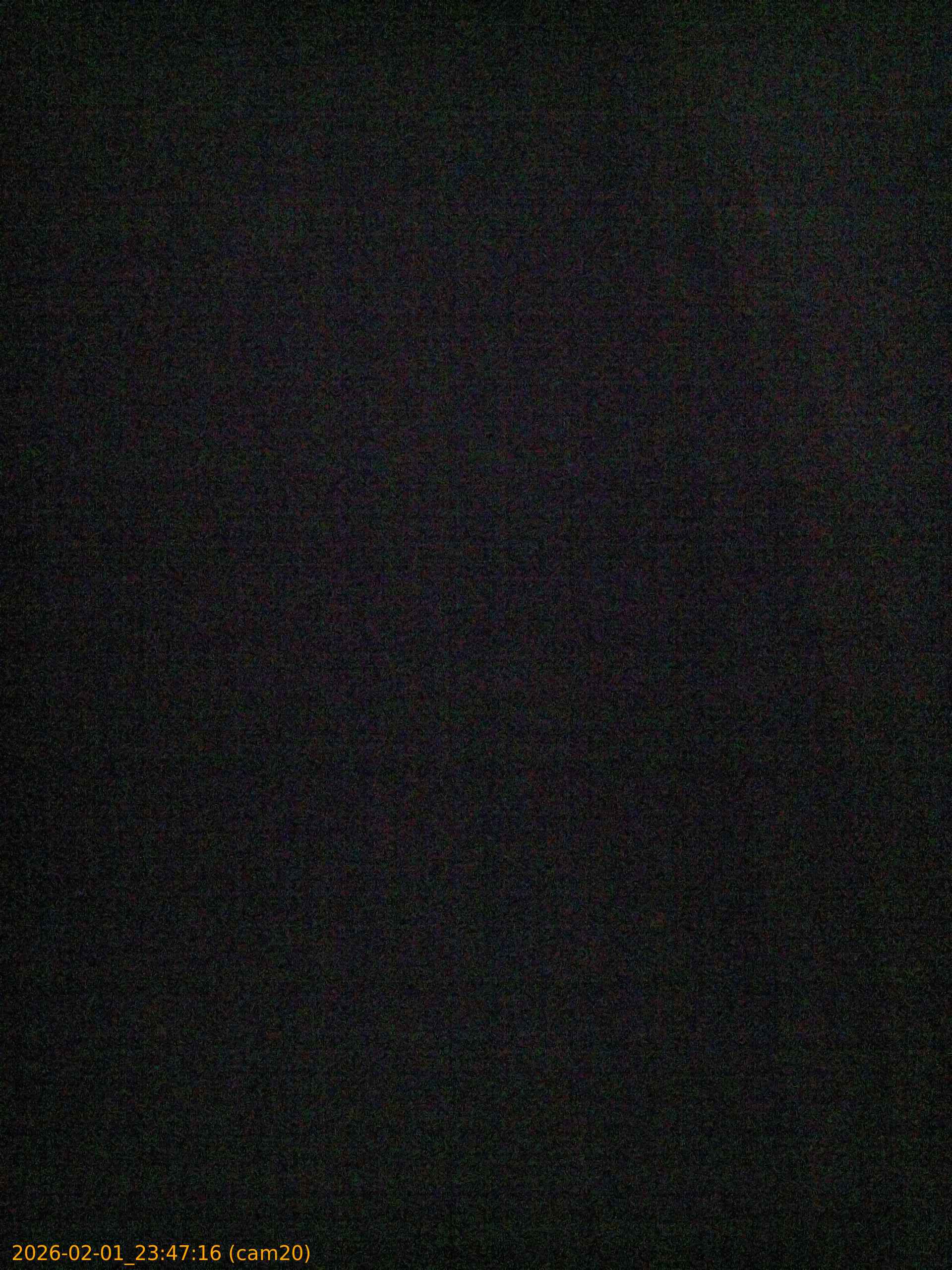 thumbnail_20260201234716