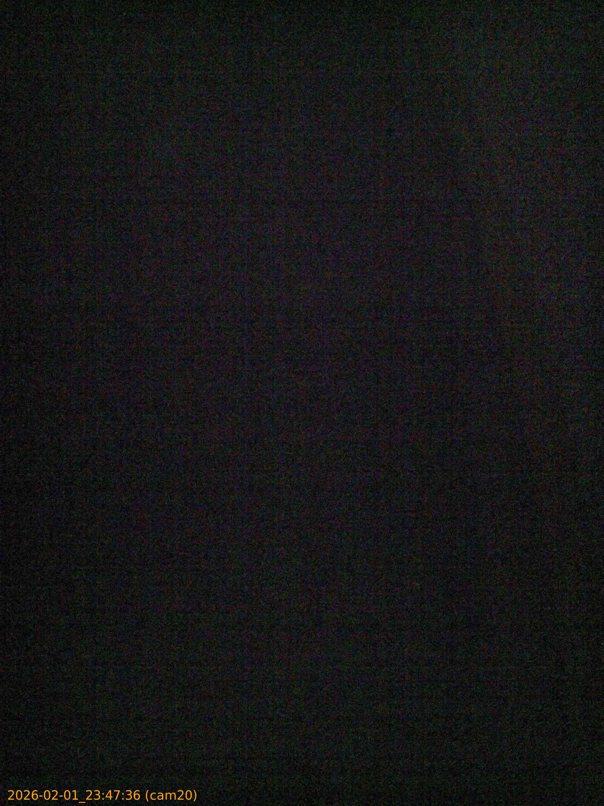 thumbnail_20260201234736