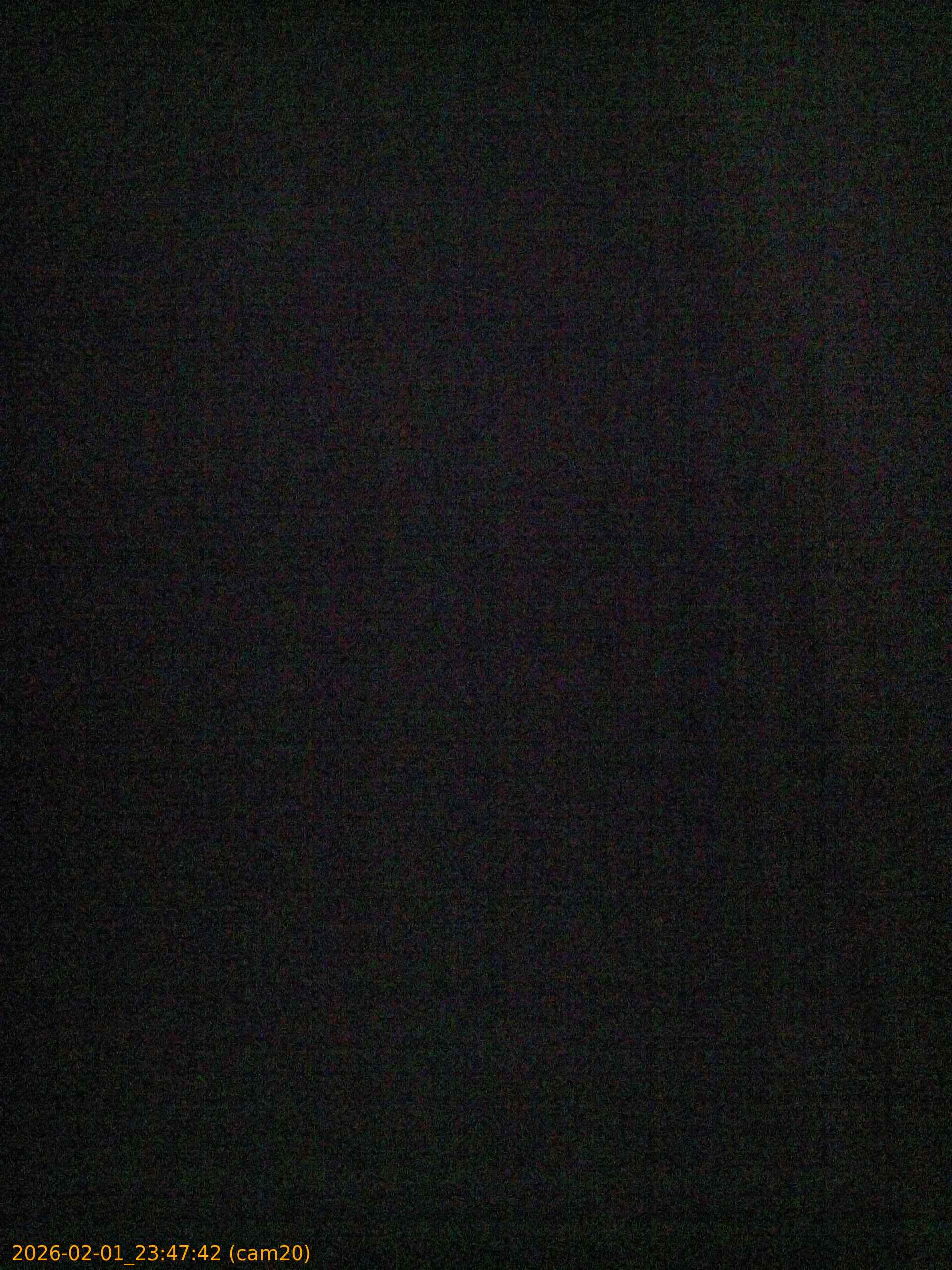 thumbnail_20260201234742