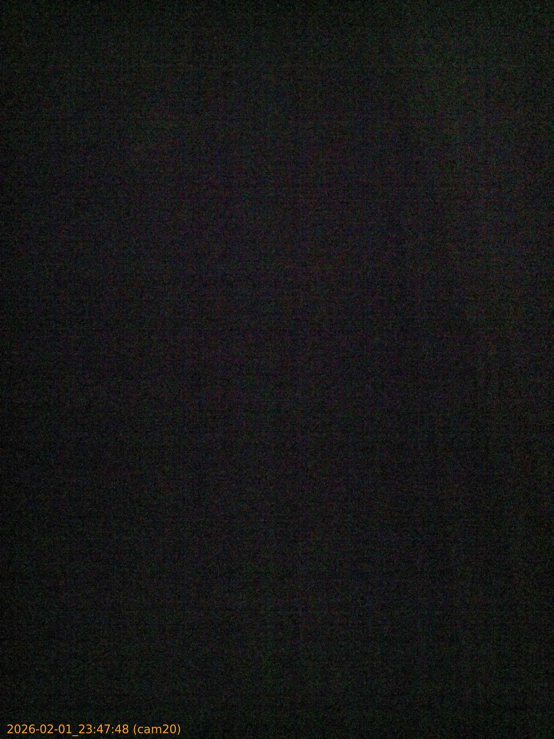 thumbnail_20260201234748