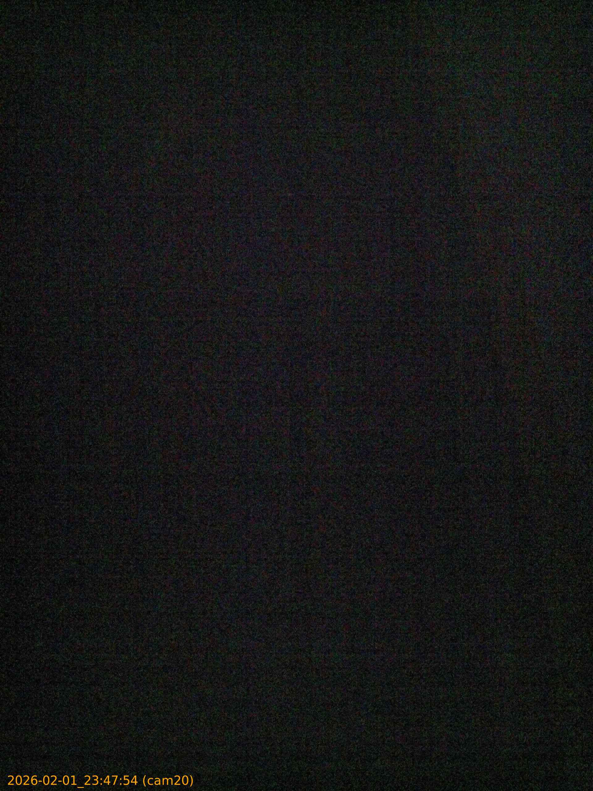 thumbnail_20260201234754