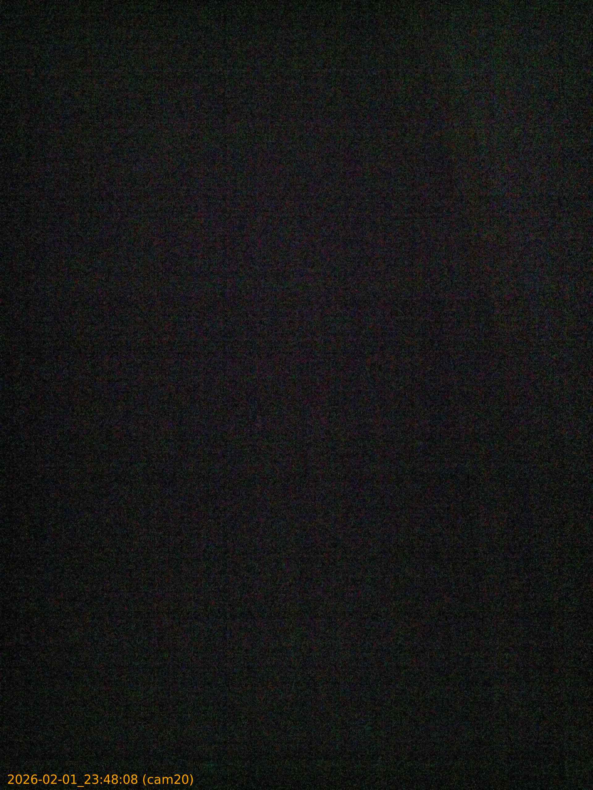 thumbnail_20260201234808