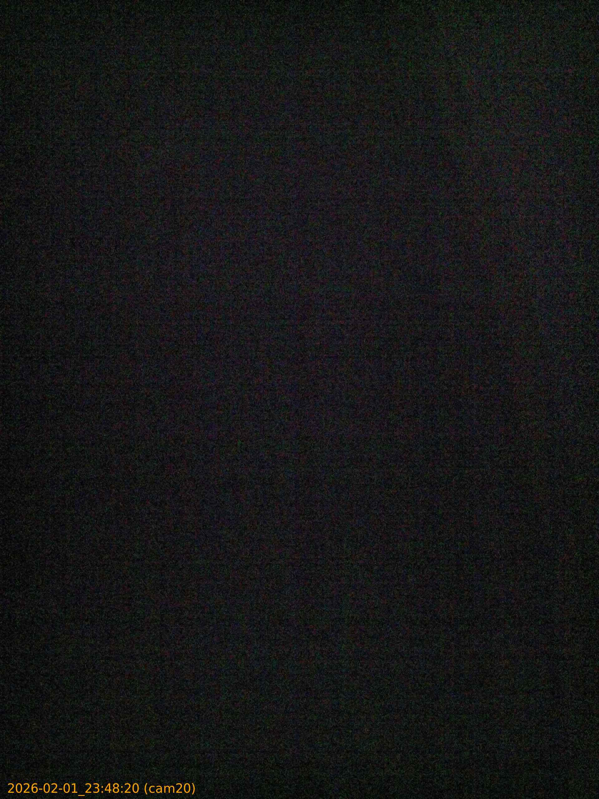 thumbnail_20260201234820