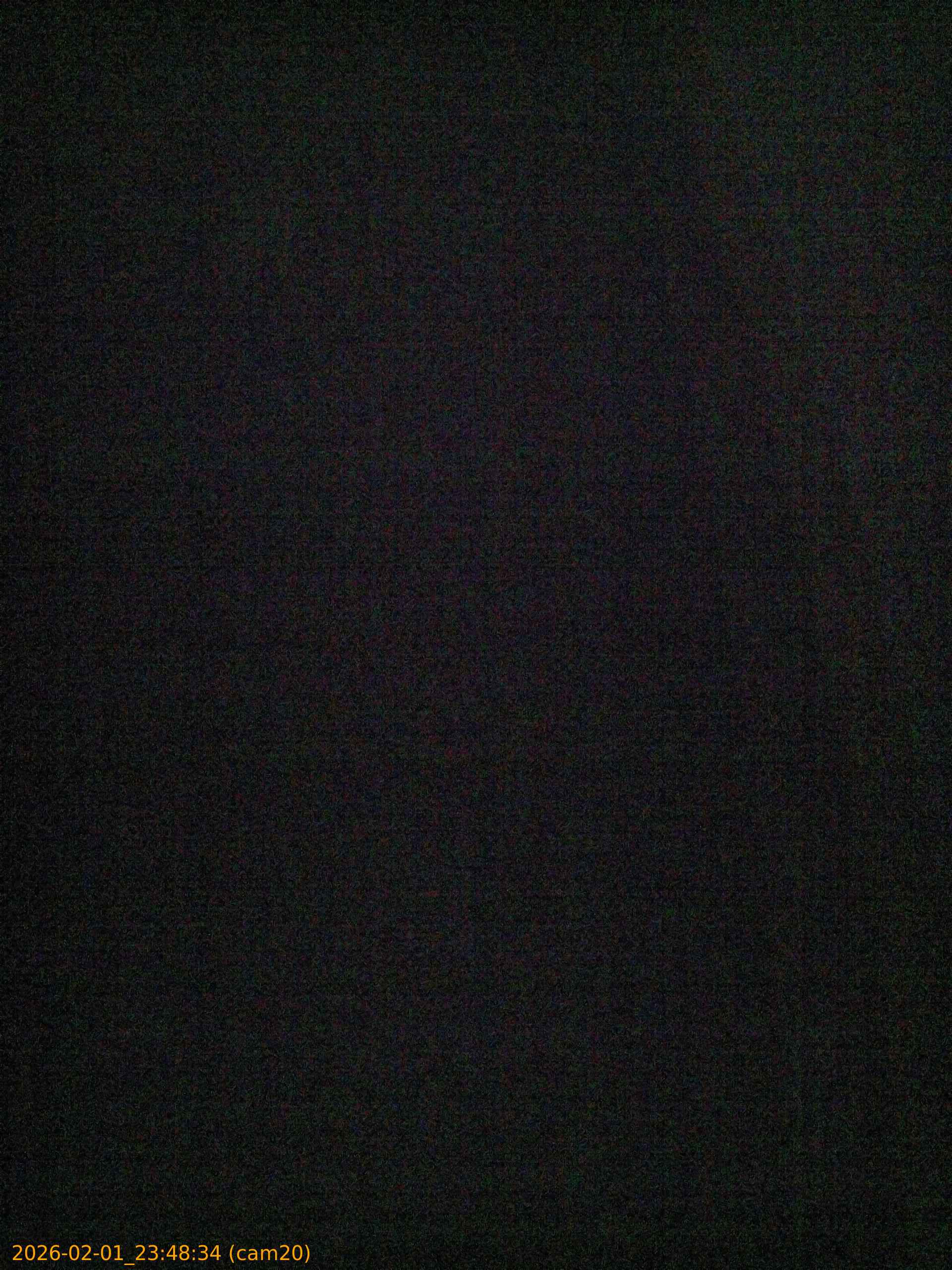 thumbnail_20260201234834