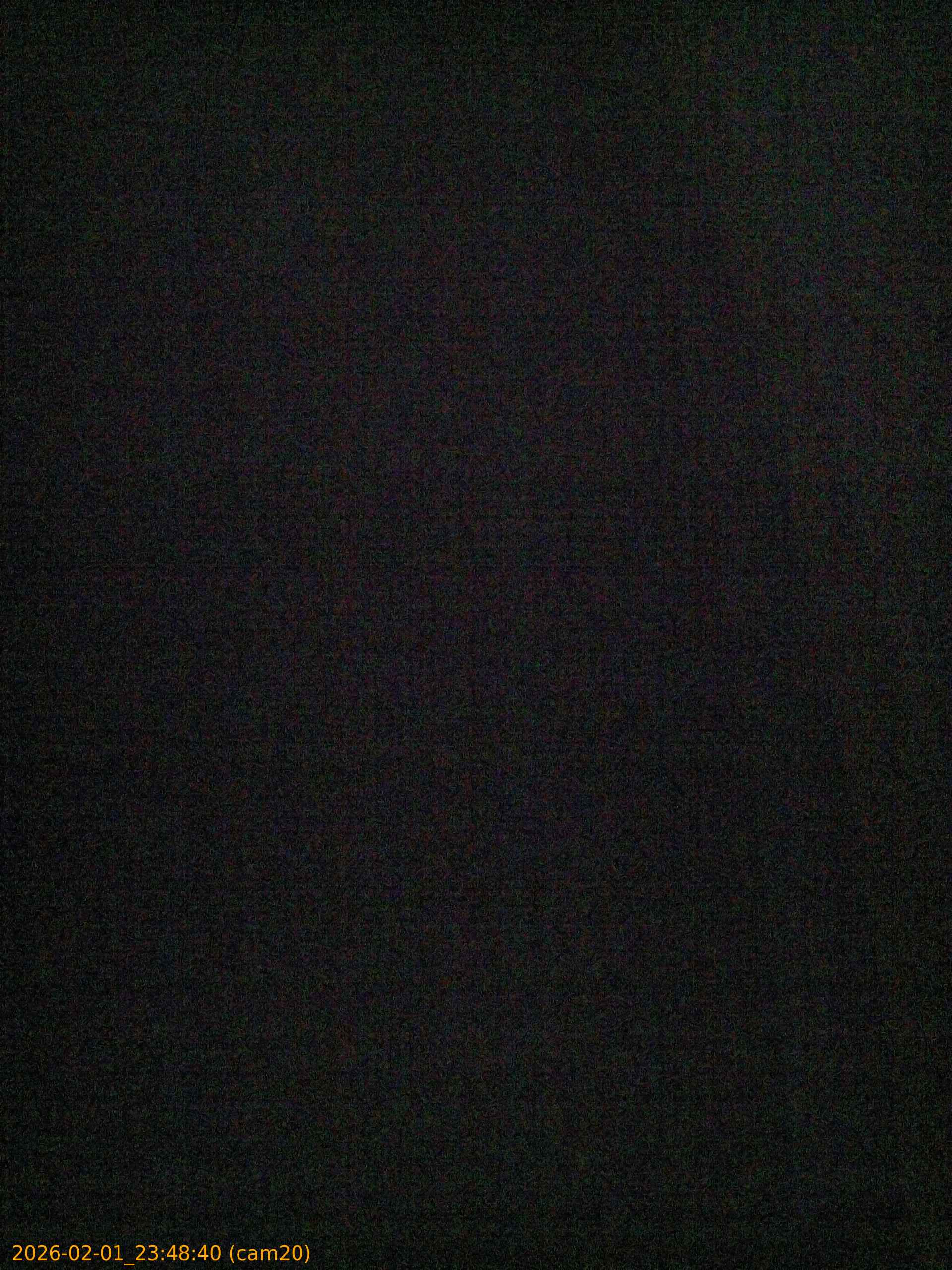 thumbnail_20260201234840