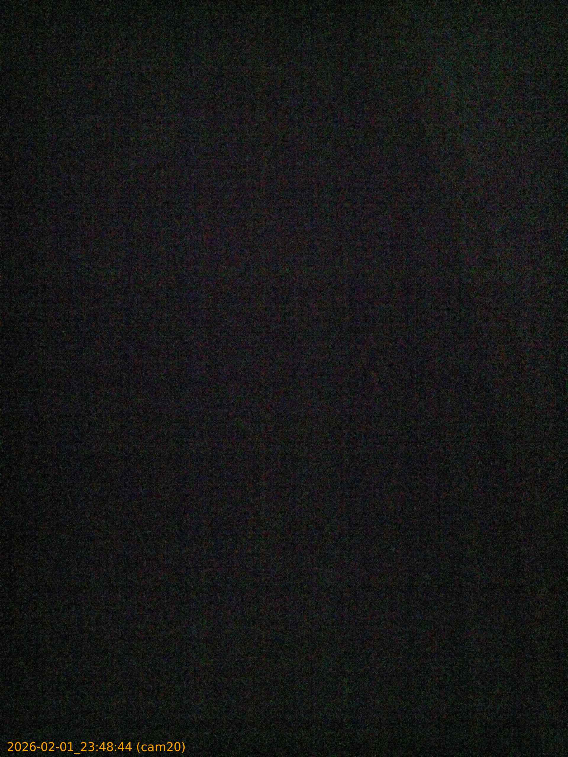 thumbnail_20260201234844