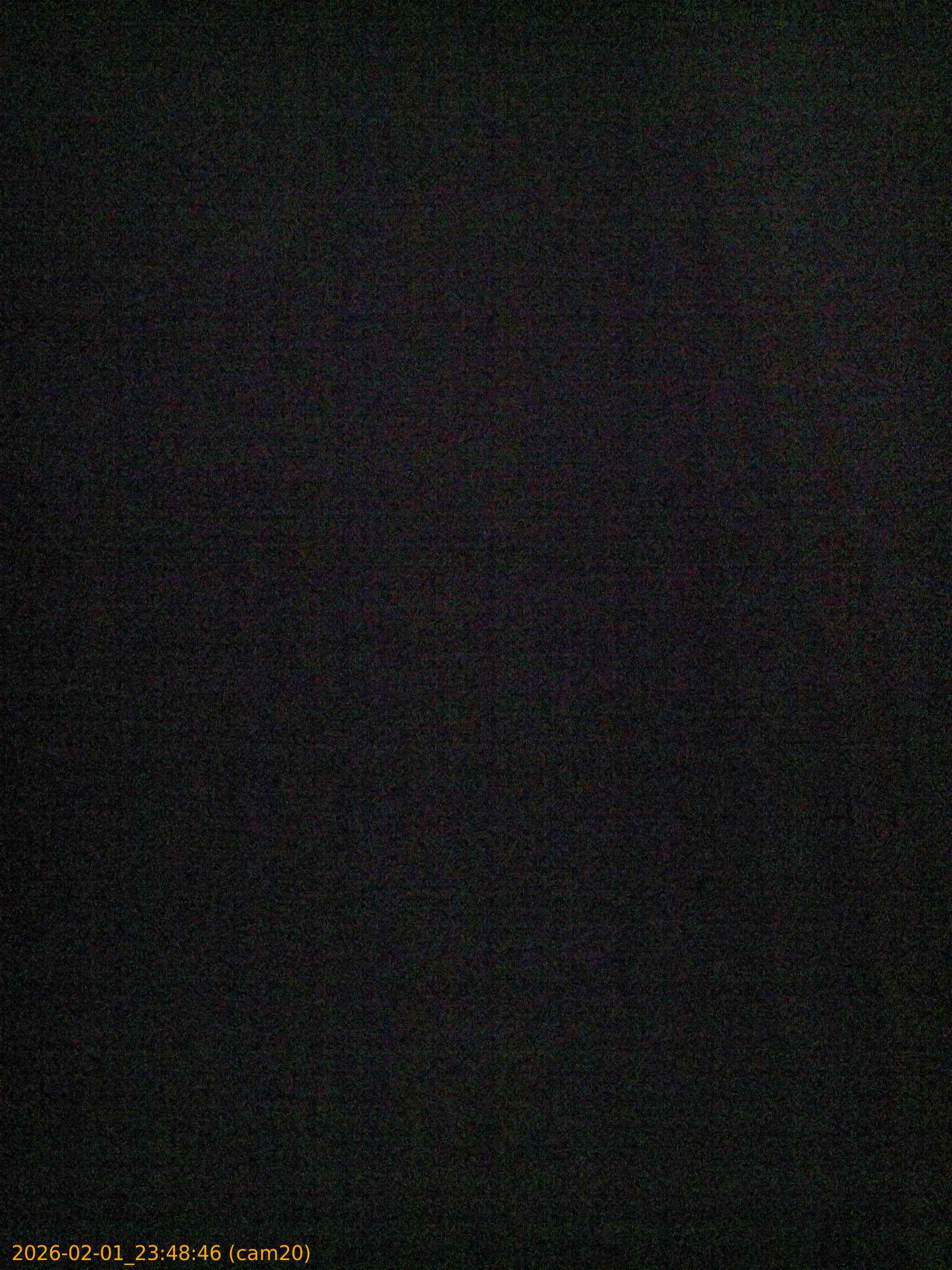 thumbnail_20260201234846