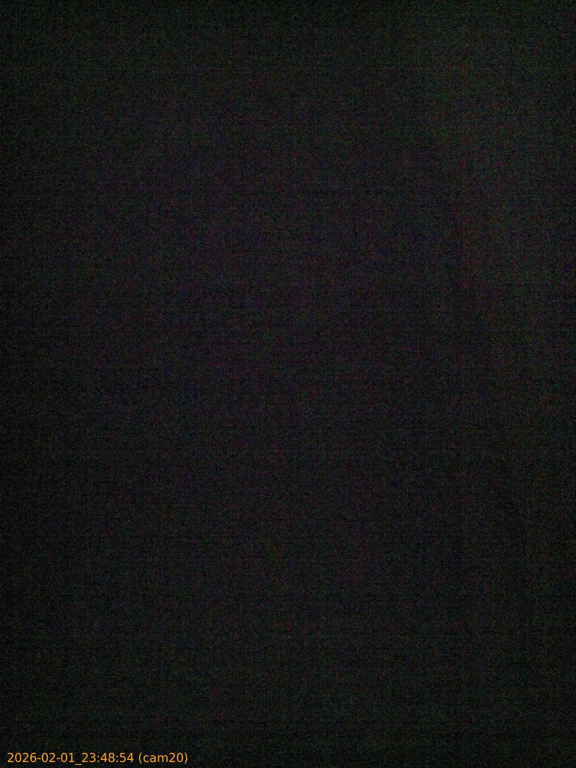 thumbnail_20260201234854