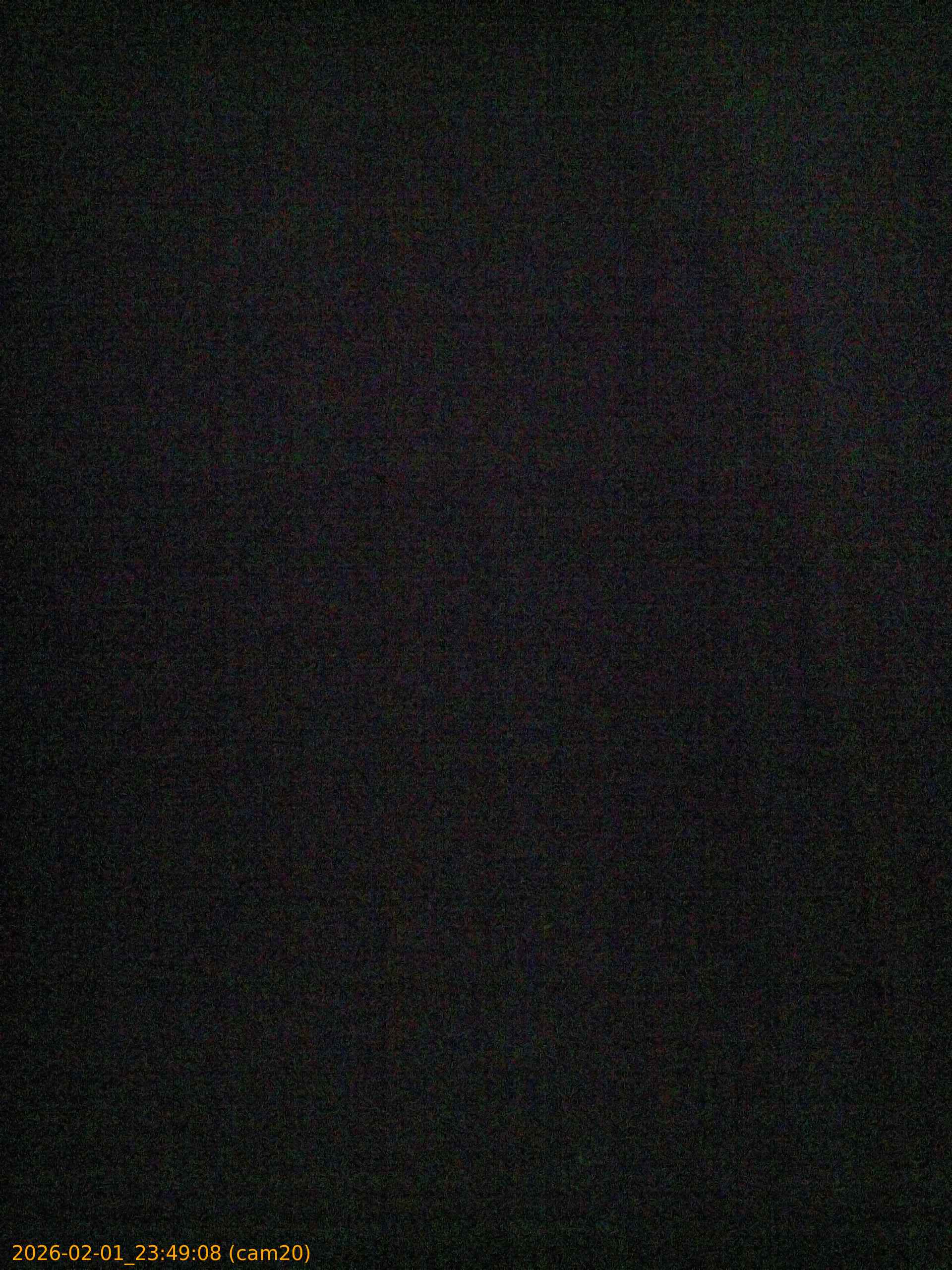 thumbnail_20260201234908