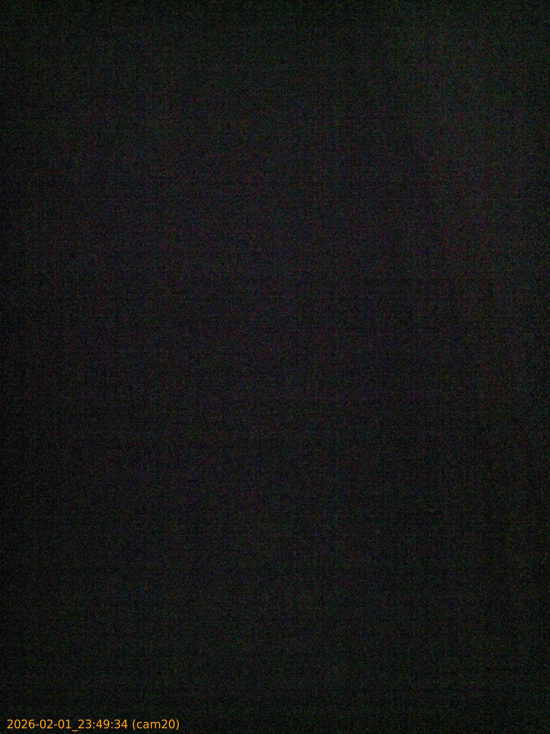 thumbnail_20260201234934