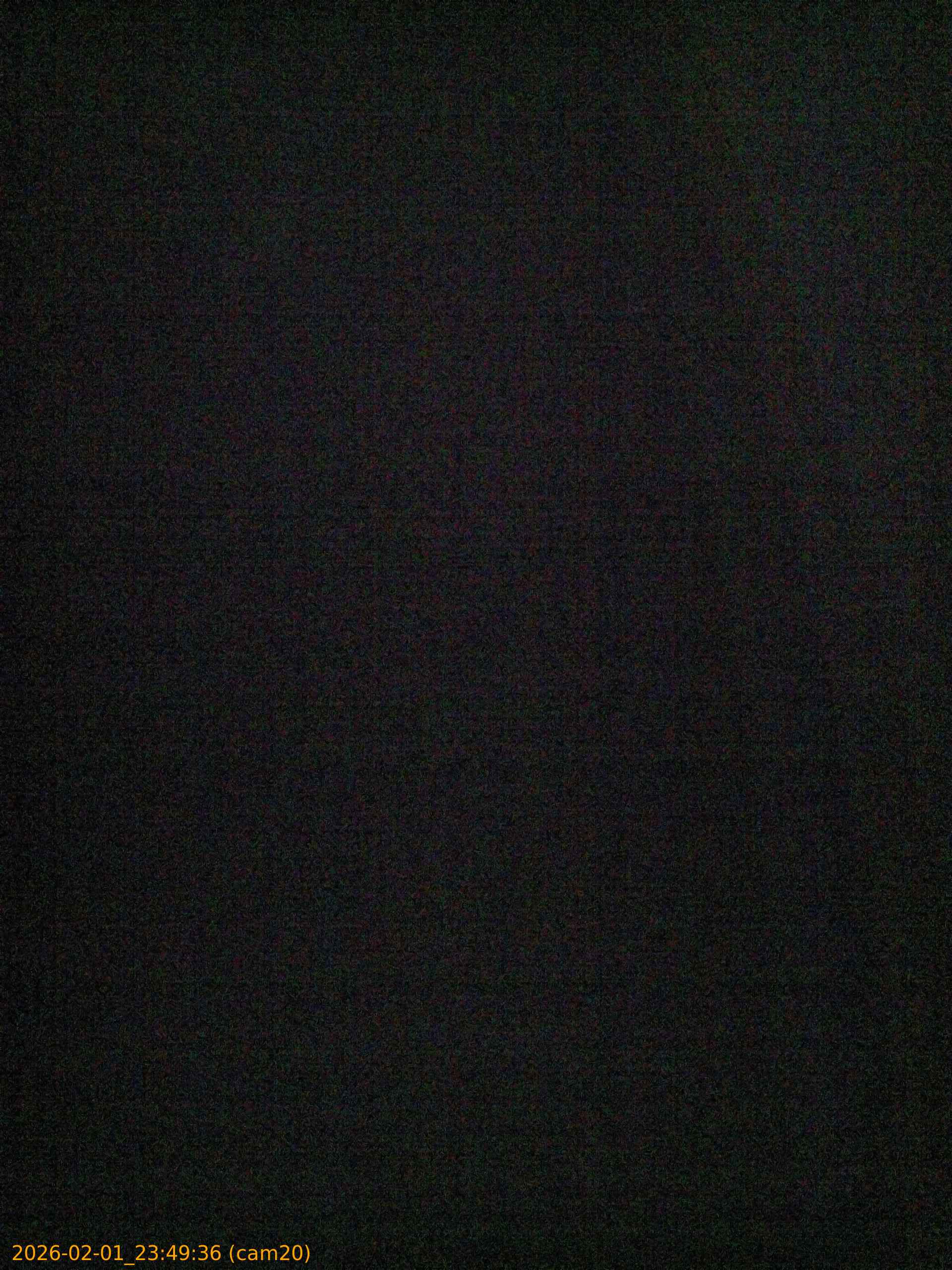 thumbnail_20260201234936