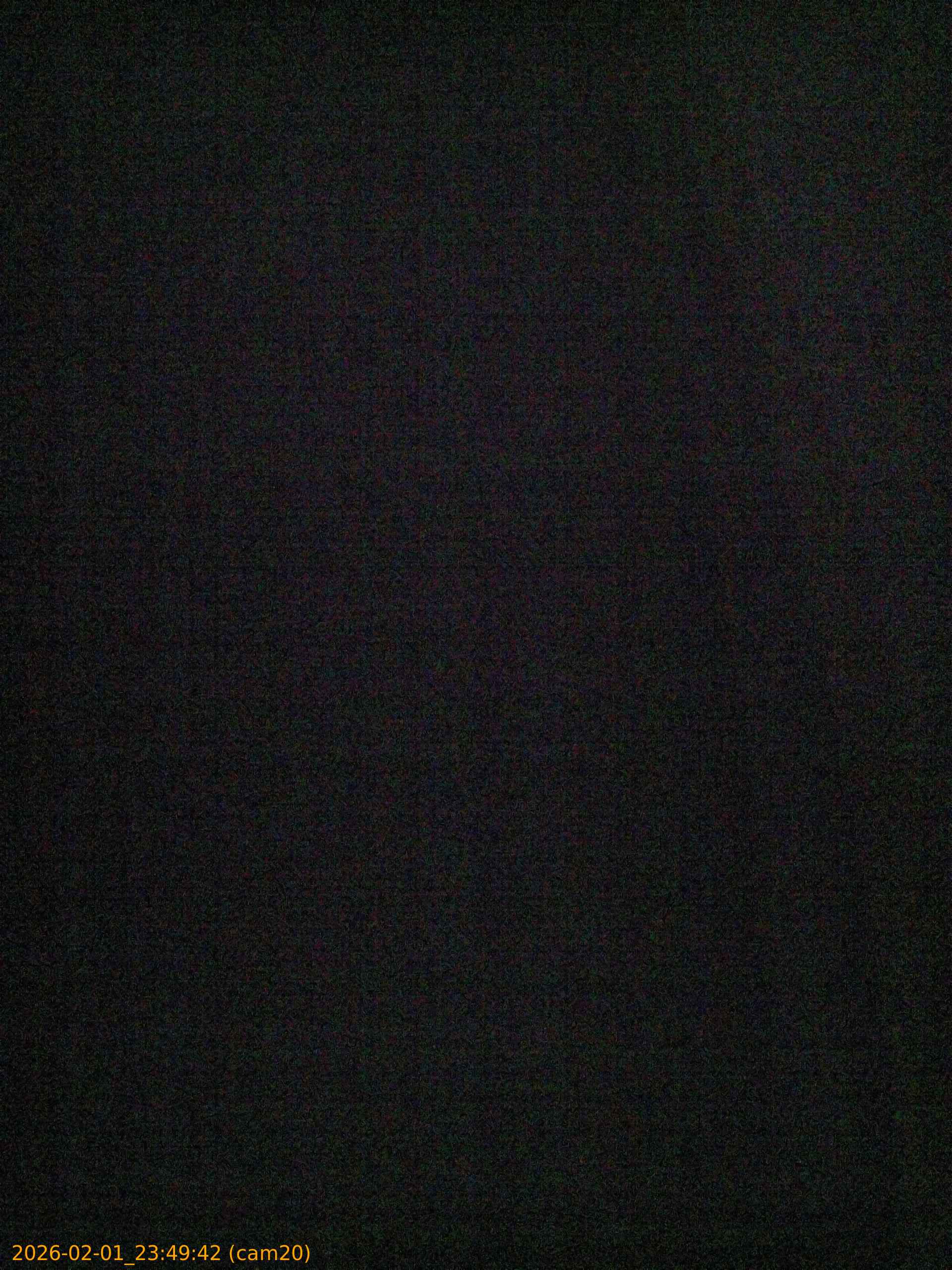 thumbnail_20260201234942