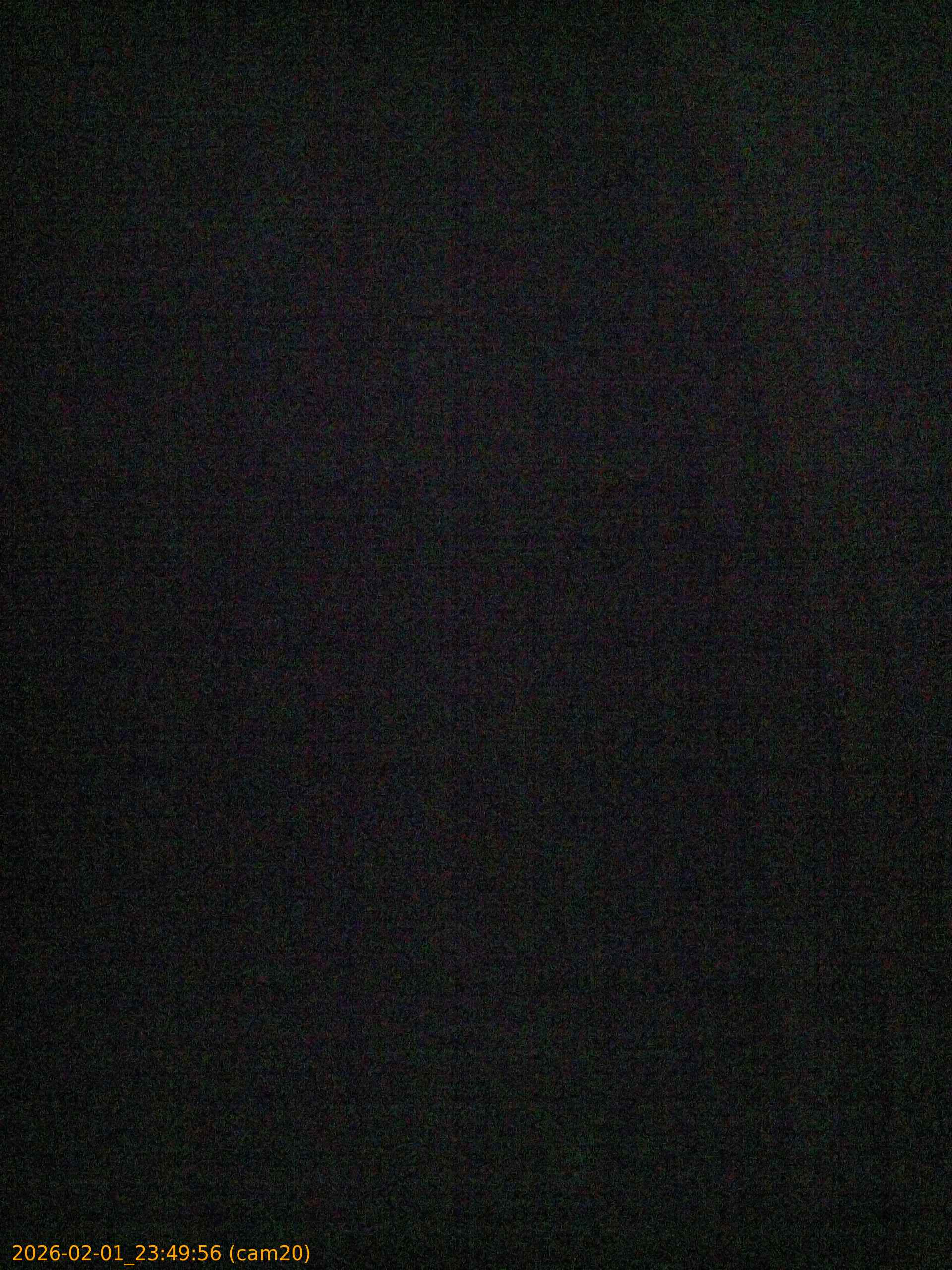 thumbnail_20260201234956