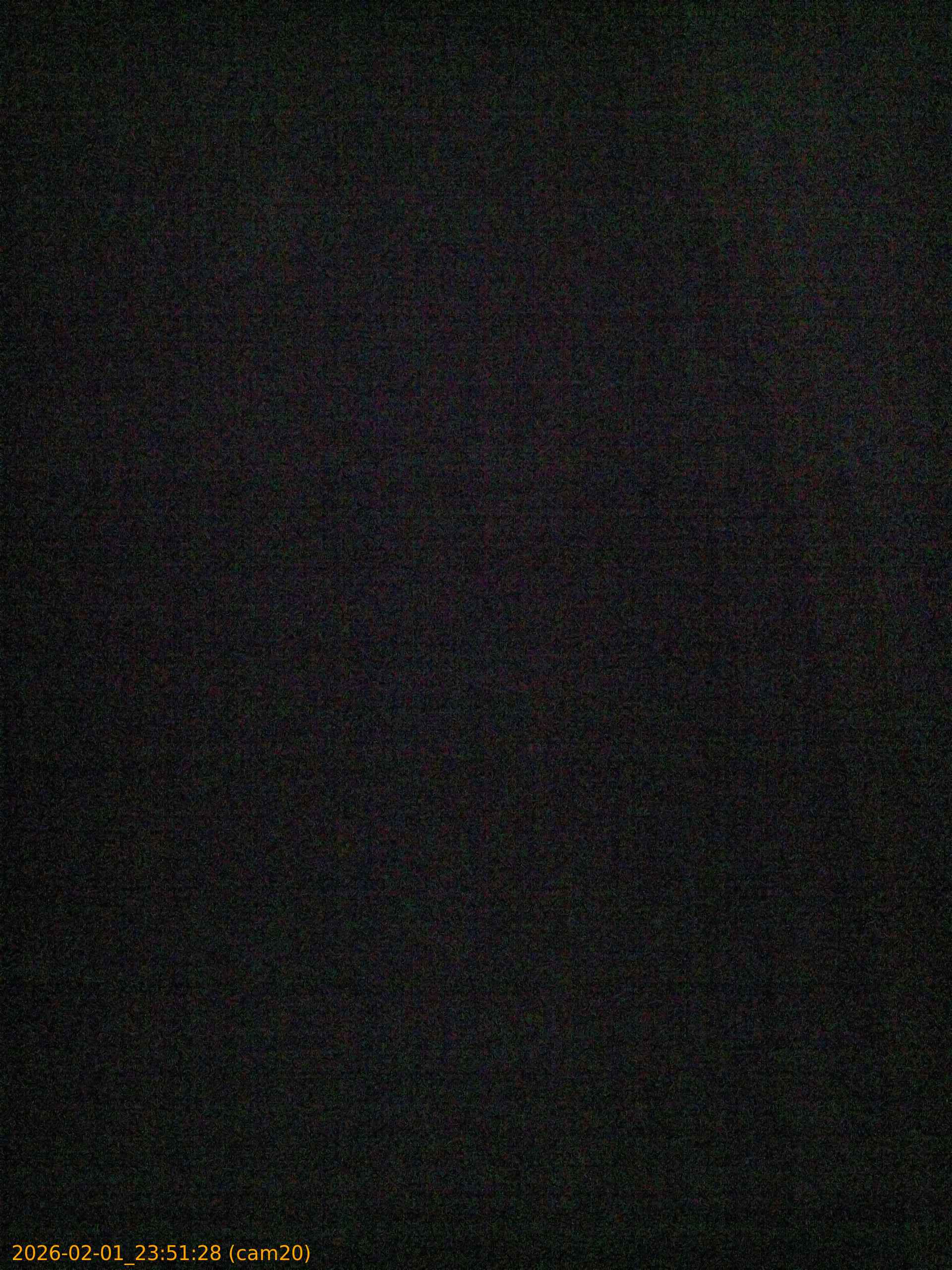 thumbnail_20260201235128