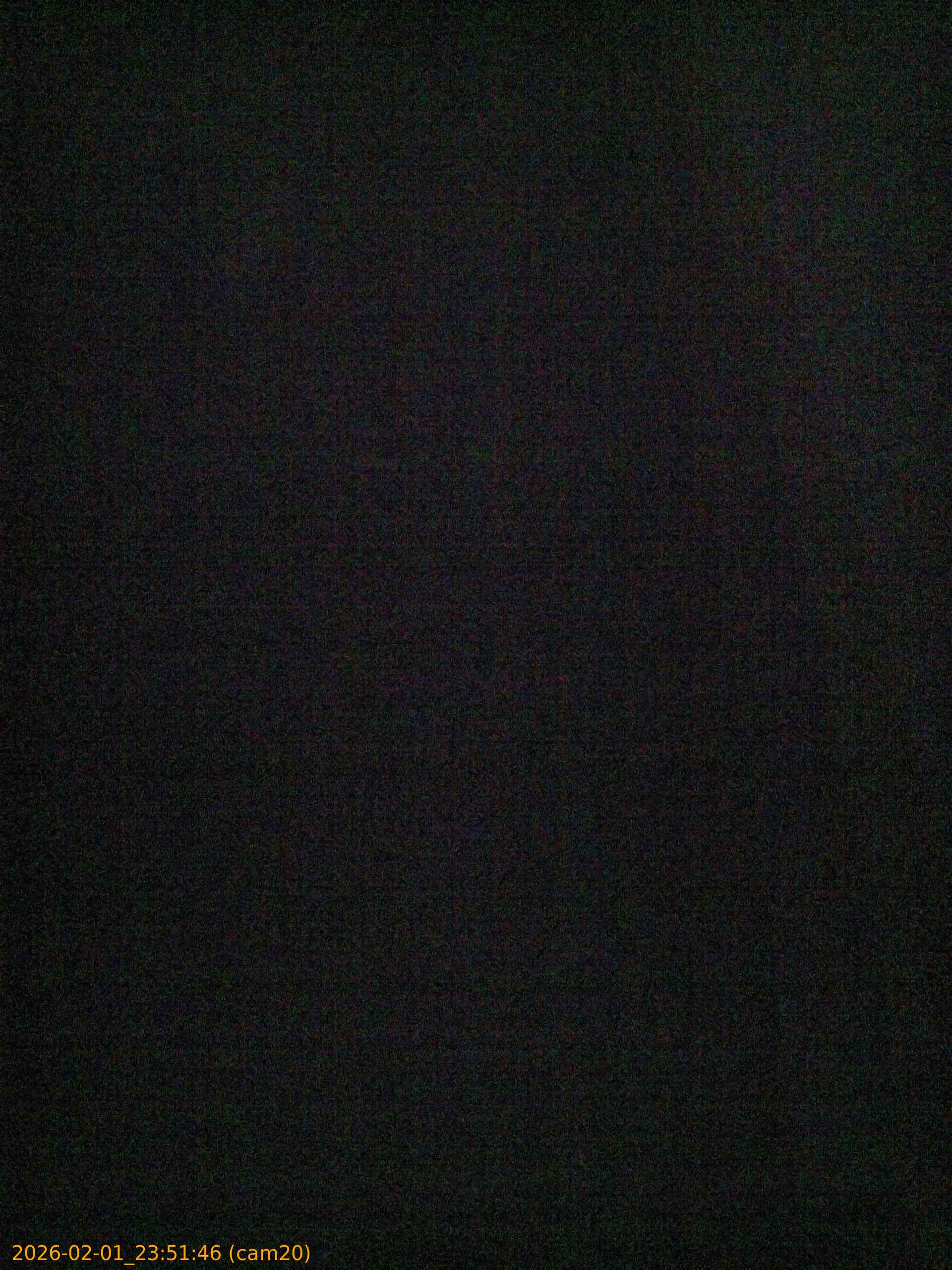 thumbnail_20260201235146