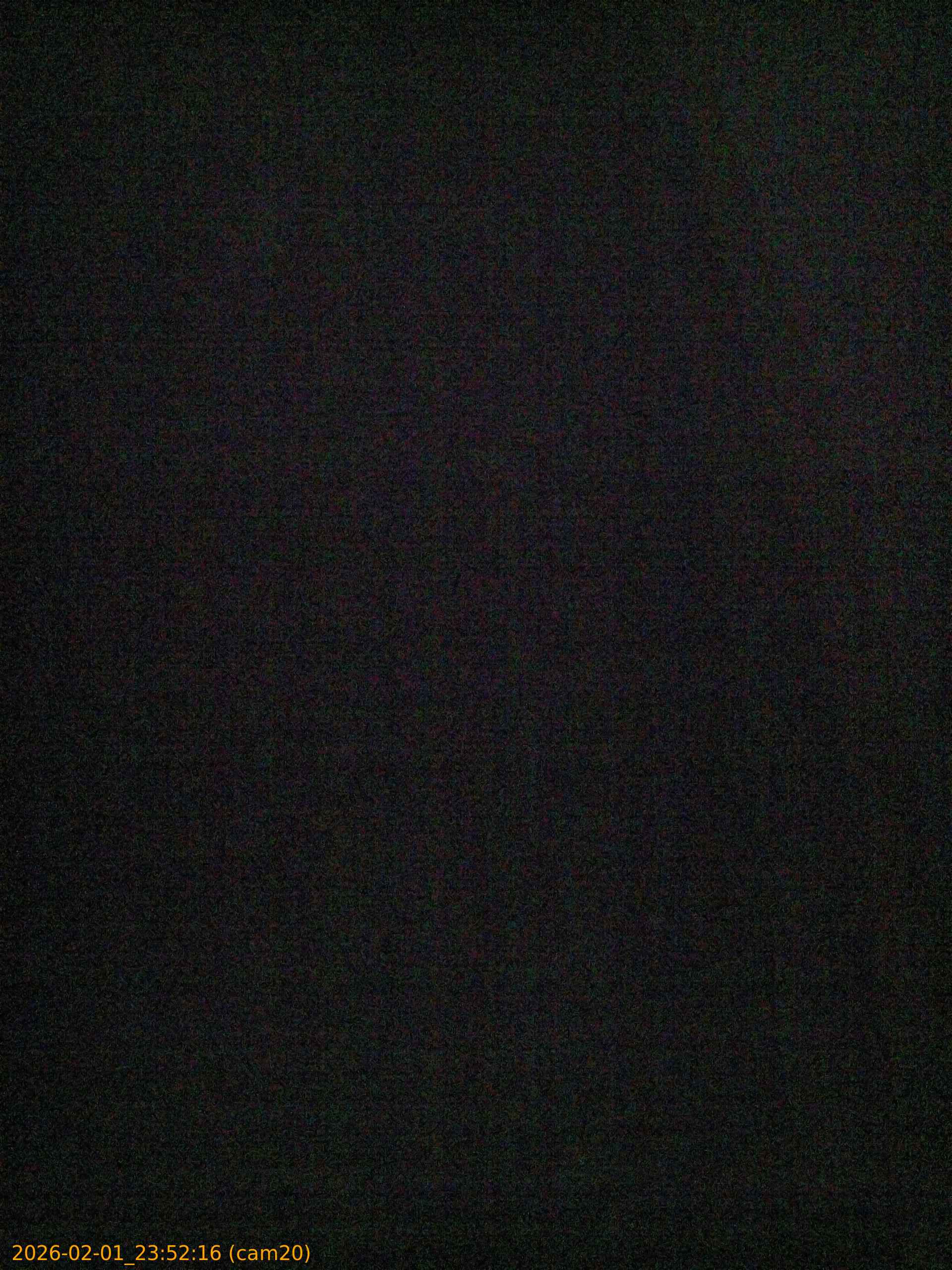 thumbnail_20260201235216