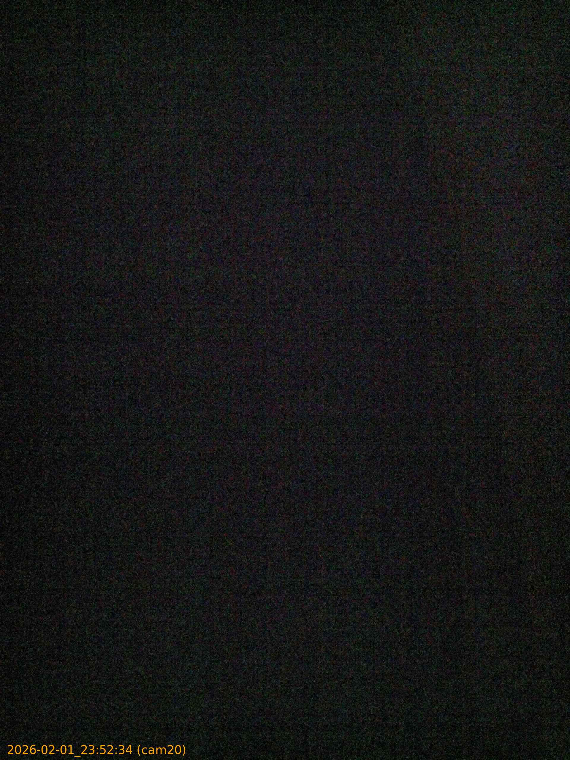 thumbnail_20260201235234