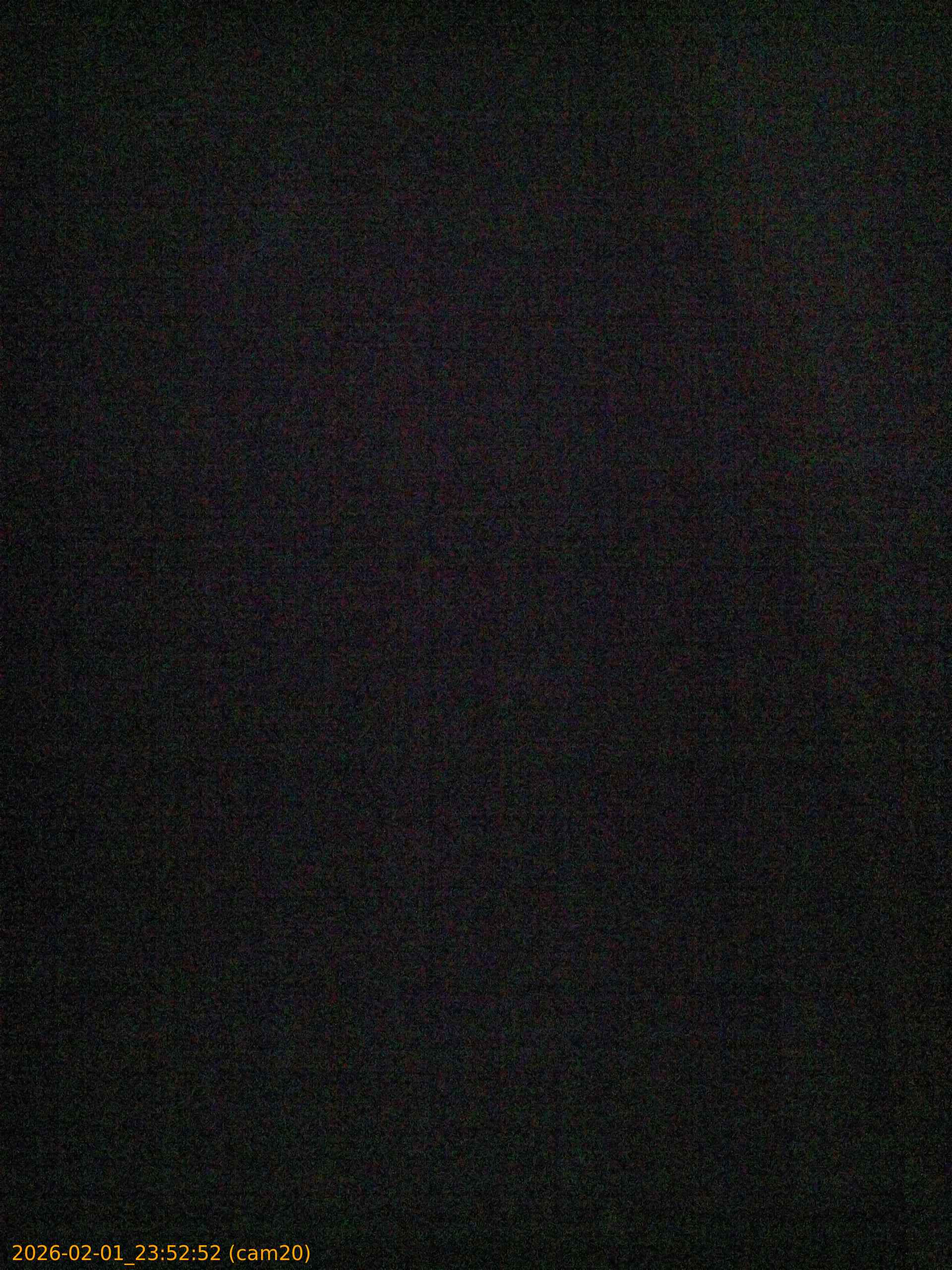 thumbnail_20260201235252