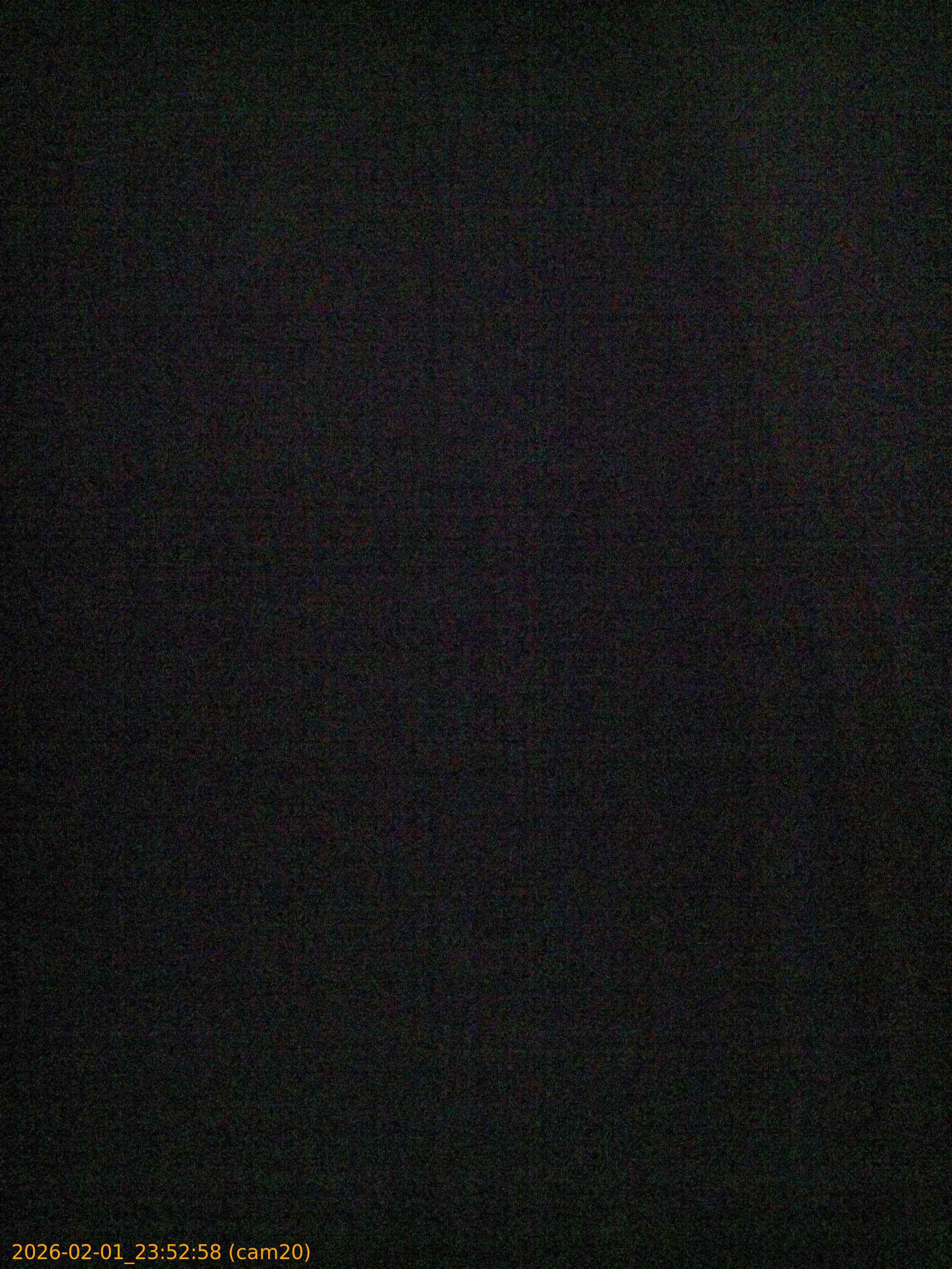 thumbnail_20260201235258