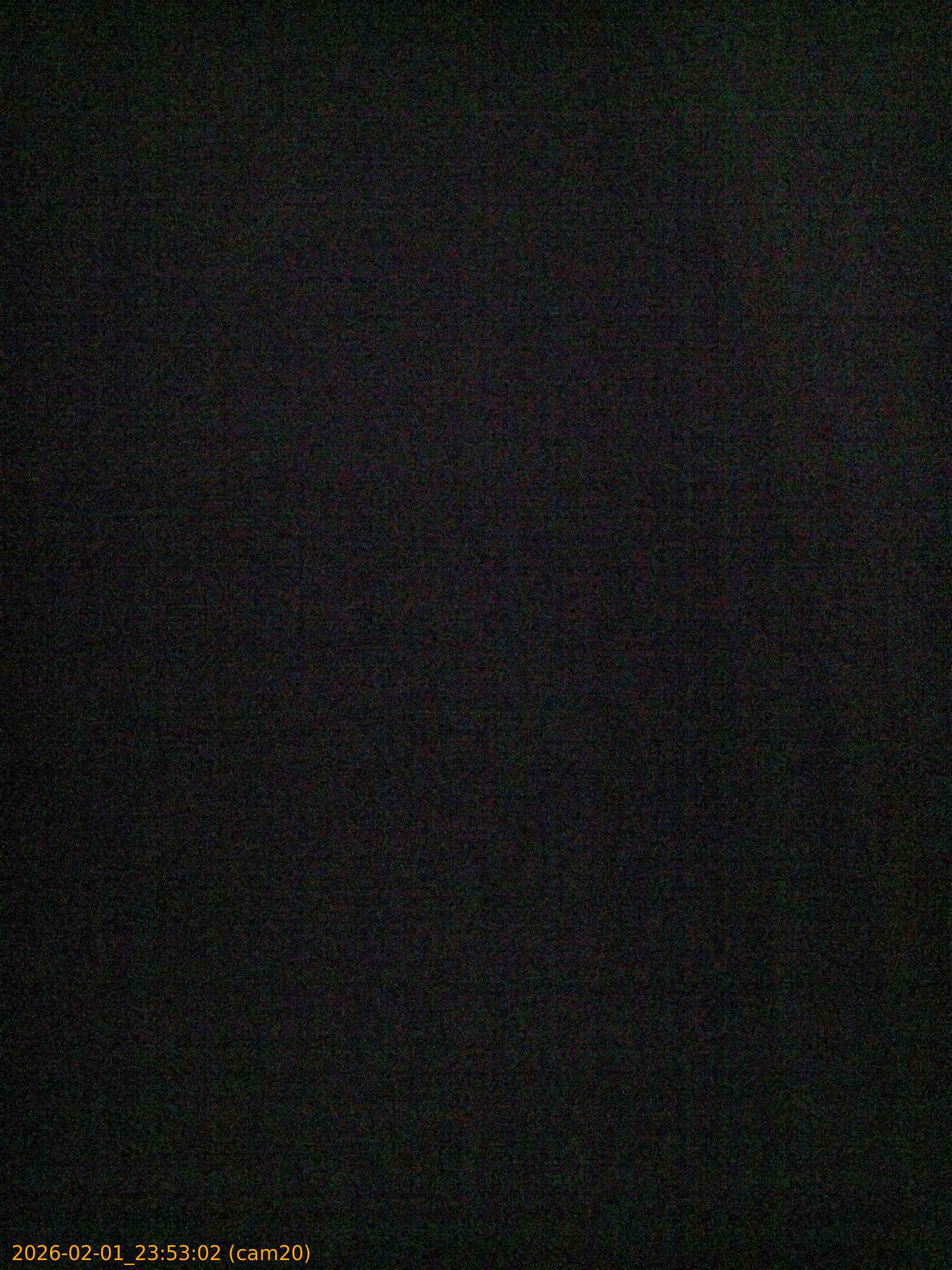 thumbnail_20260201235302