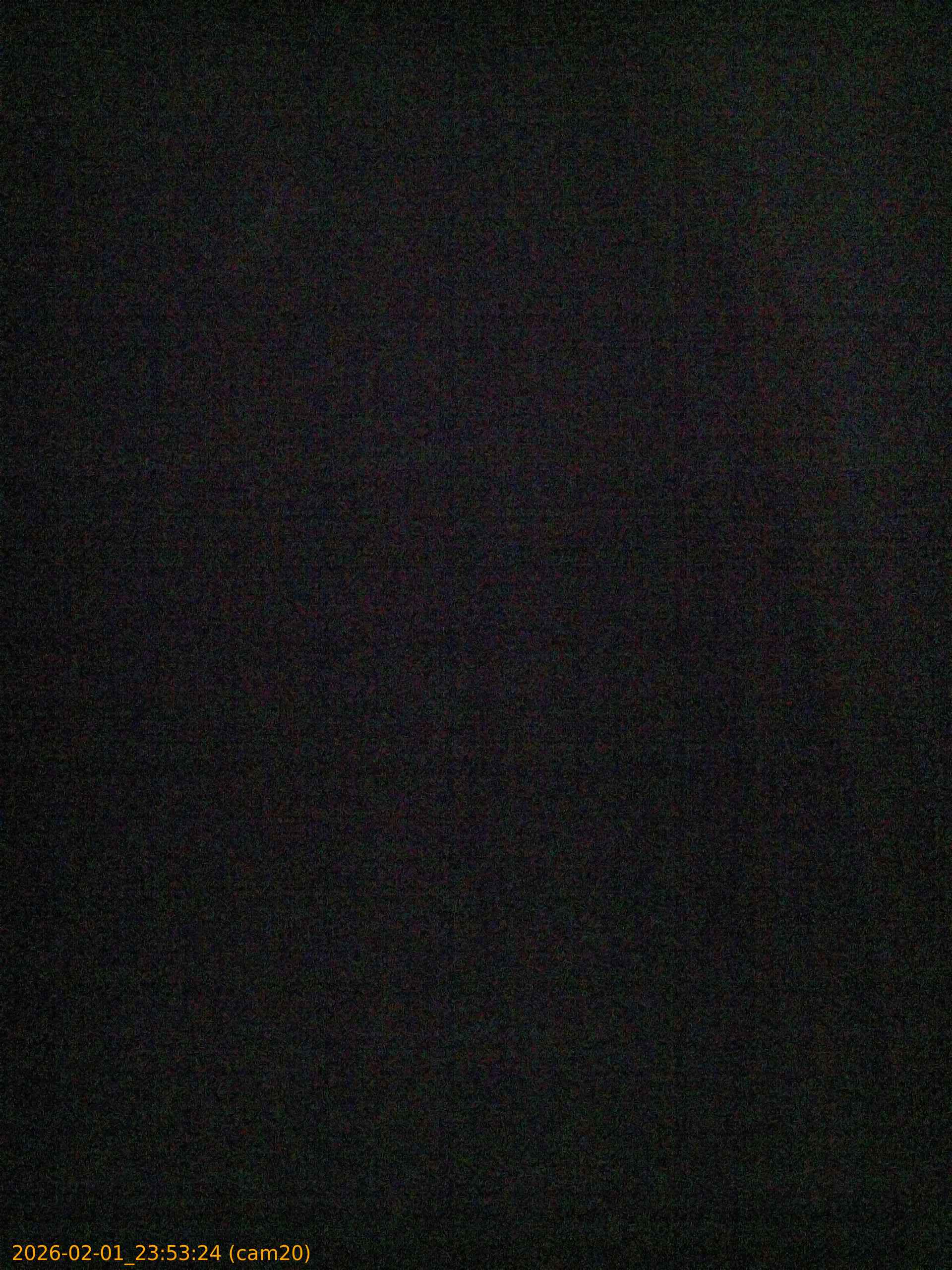 thumbnail_20260201235324