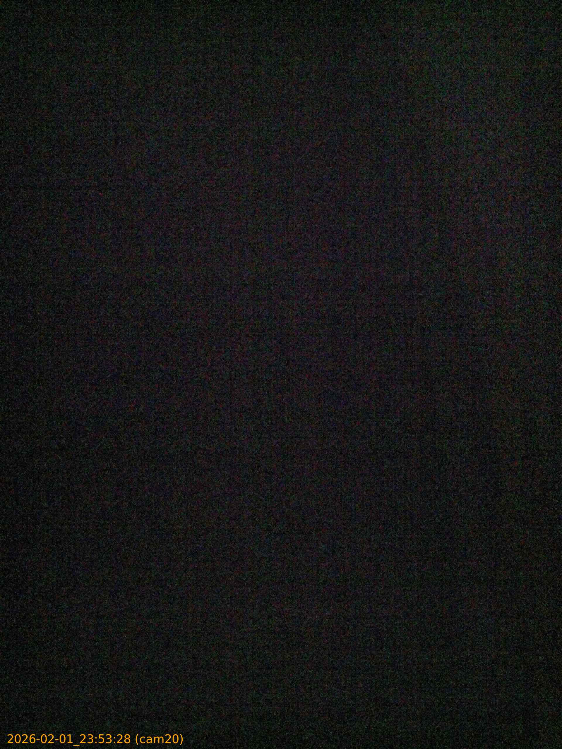 thumbnail_20260201235328