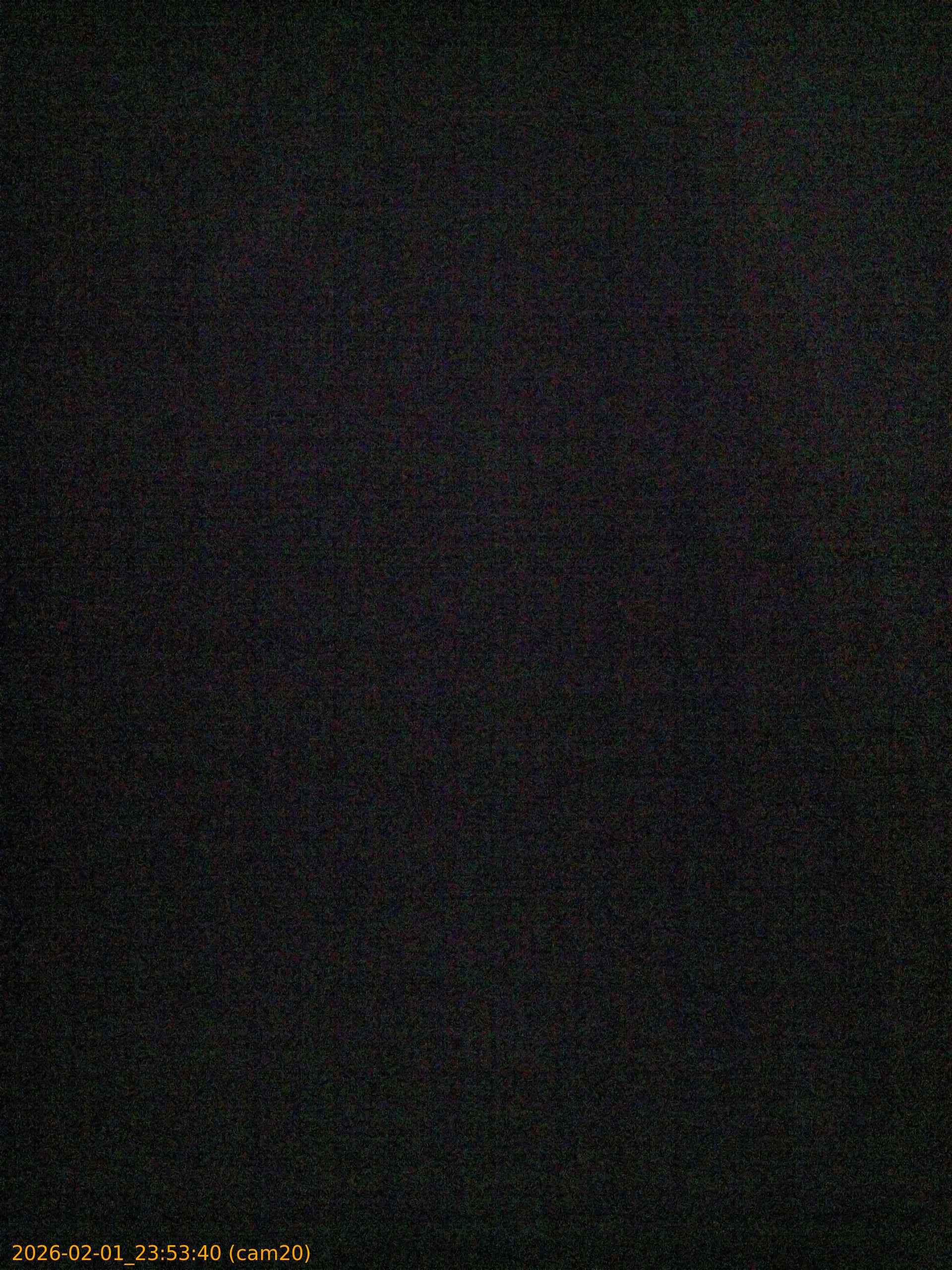 thumbnail_20260201235340