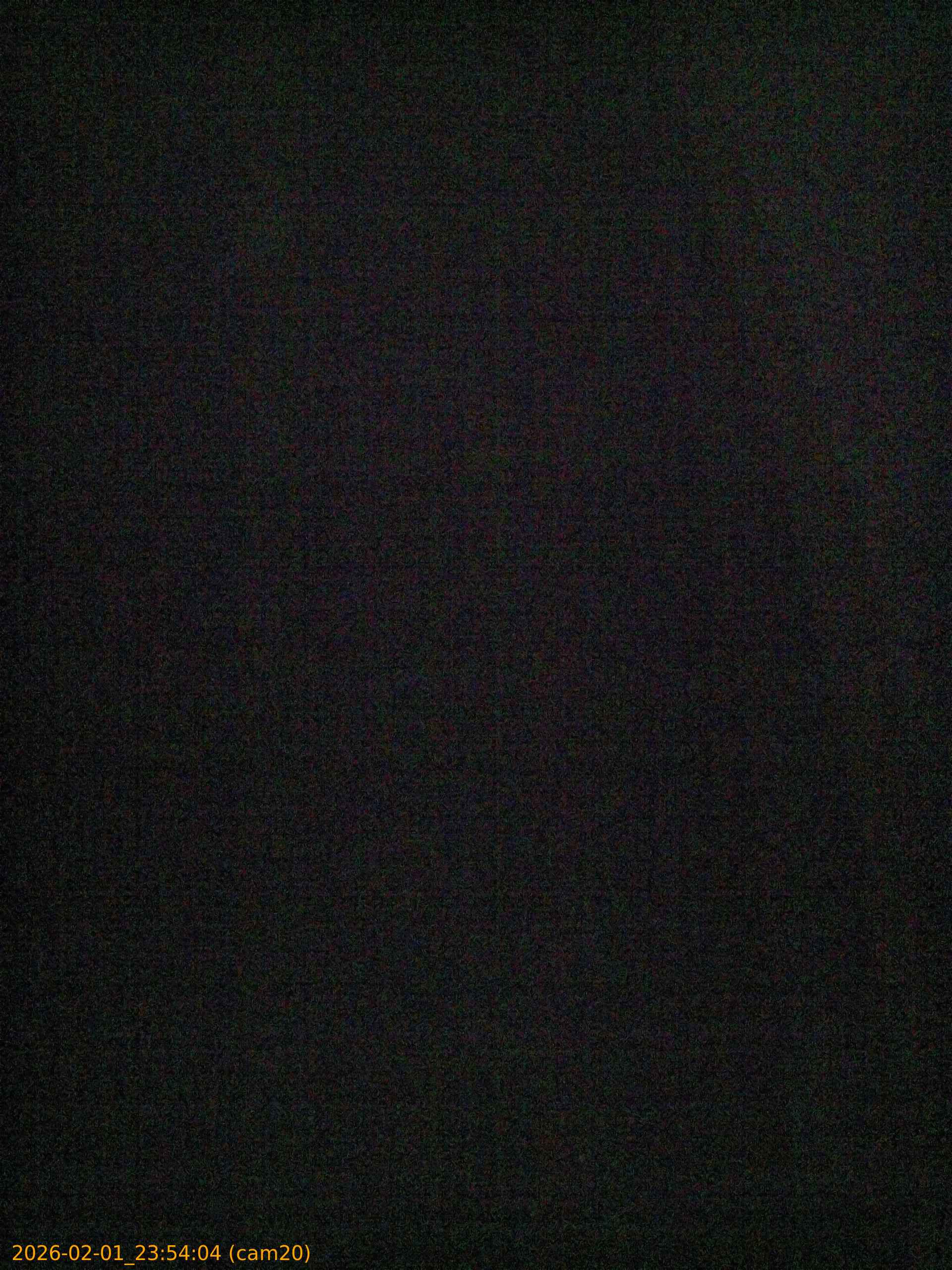 thumbnail_20260201235404