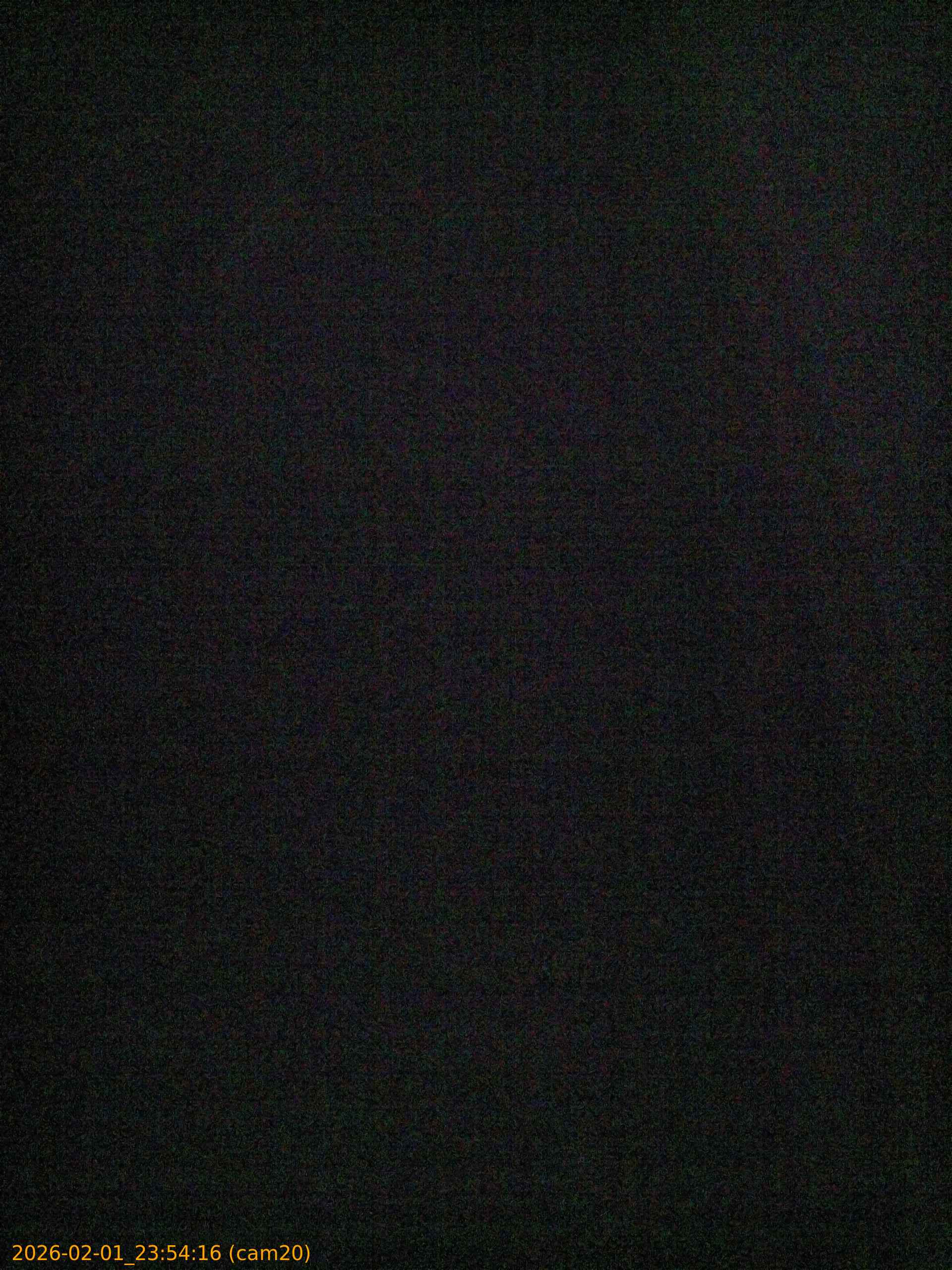 thumbnail_20260201235416