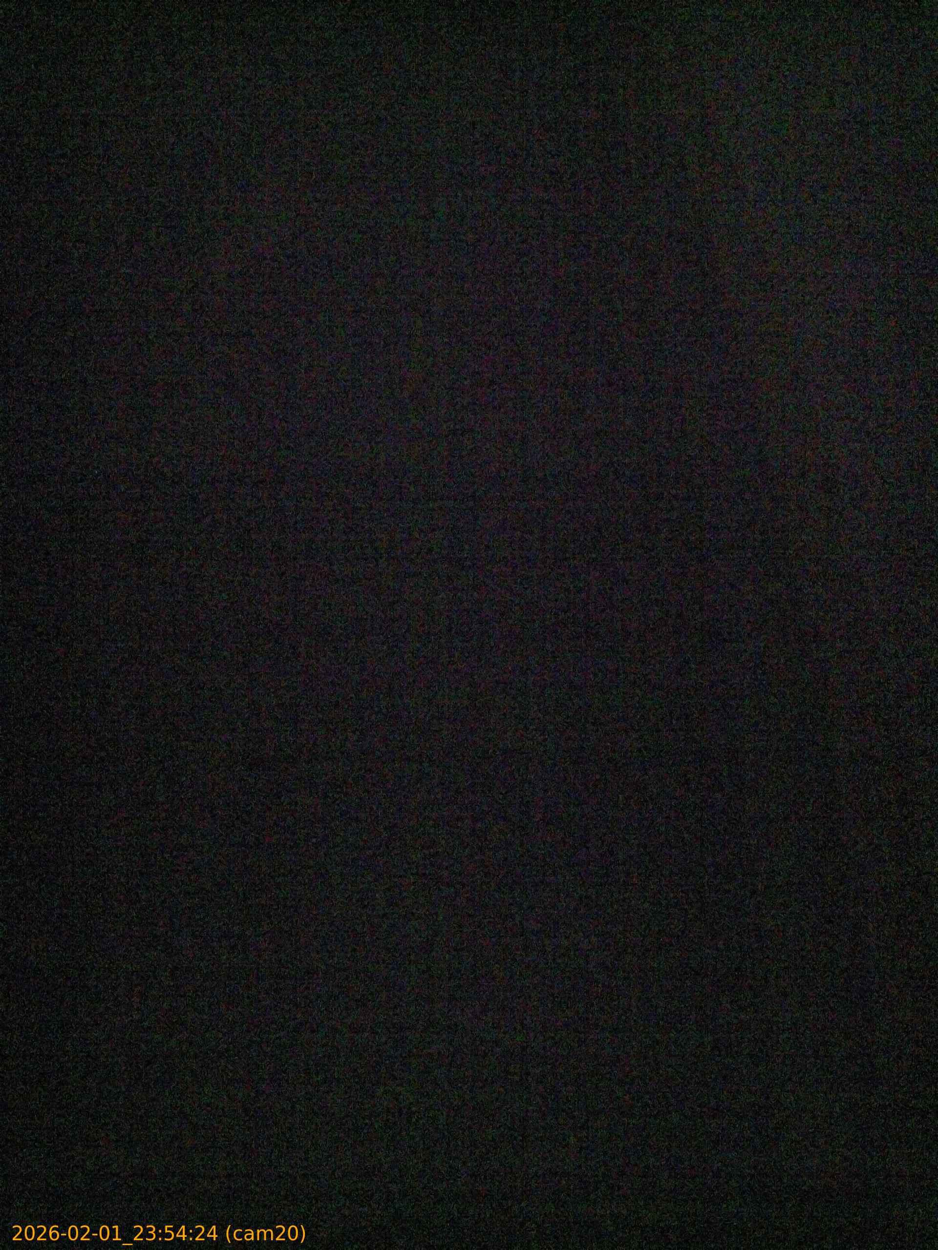 thumbnail_20260201235424