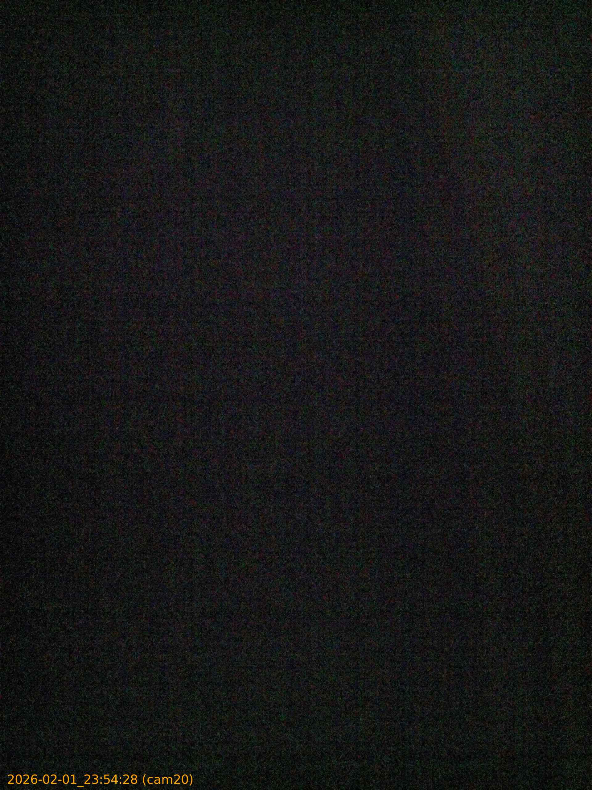 thumbnail_20260201235428