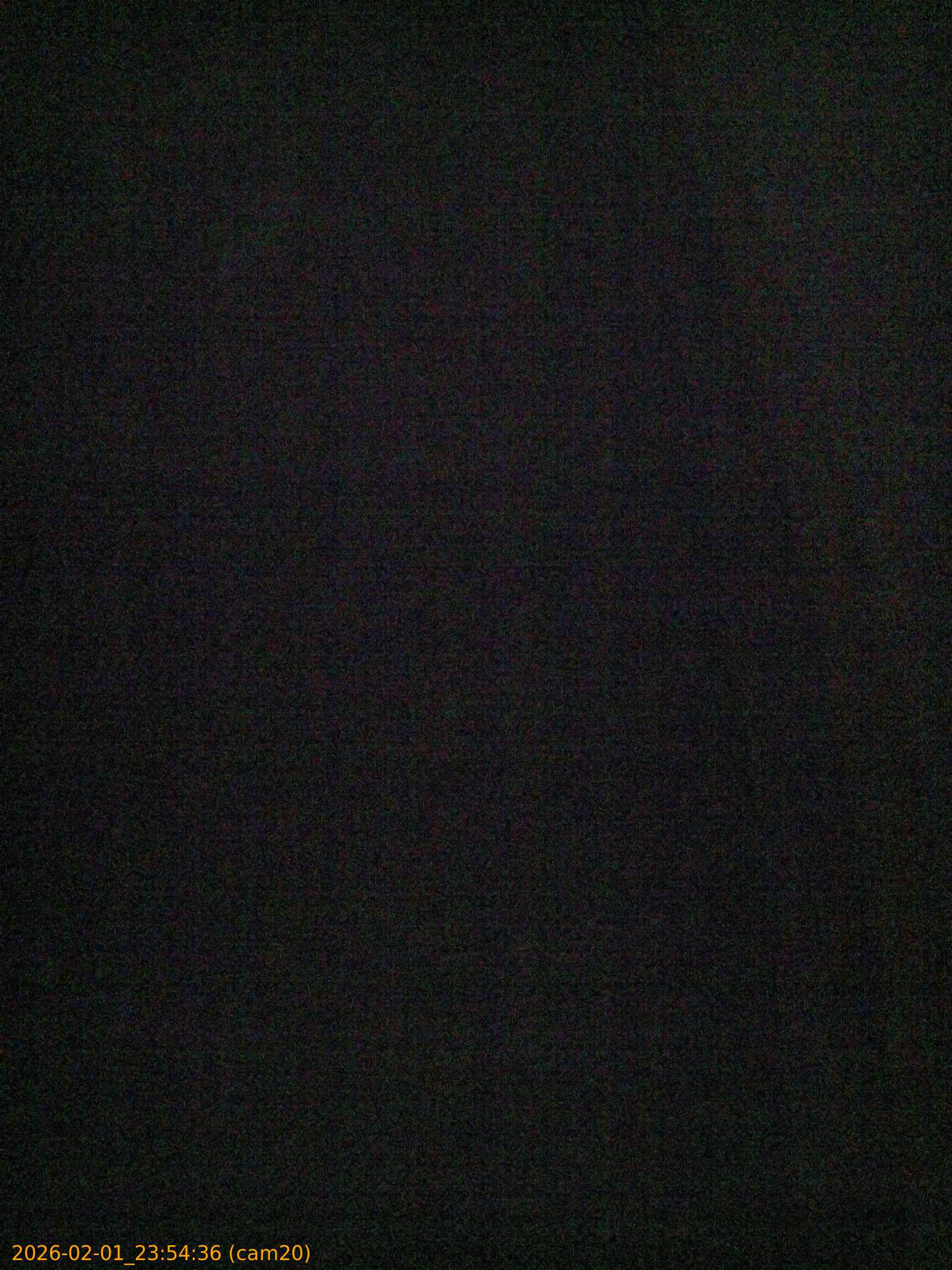 thumbnail_20260201235436