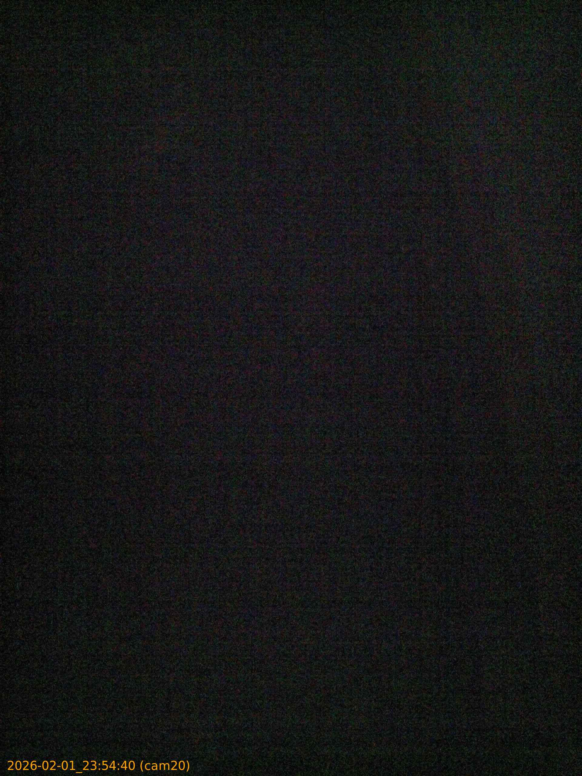 thumbnail_20260201235440