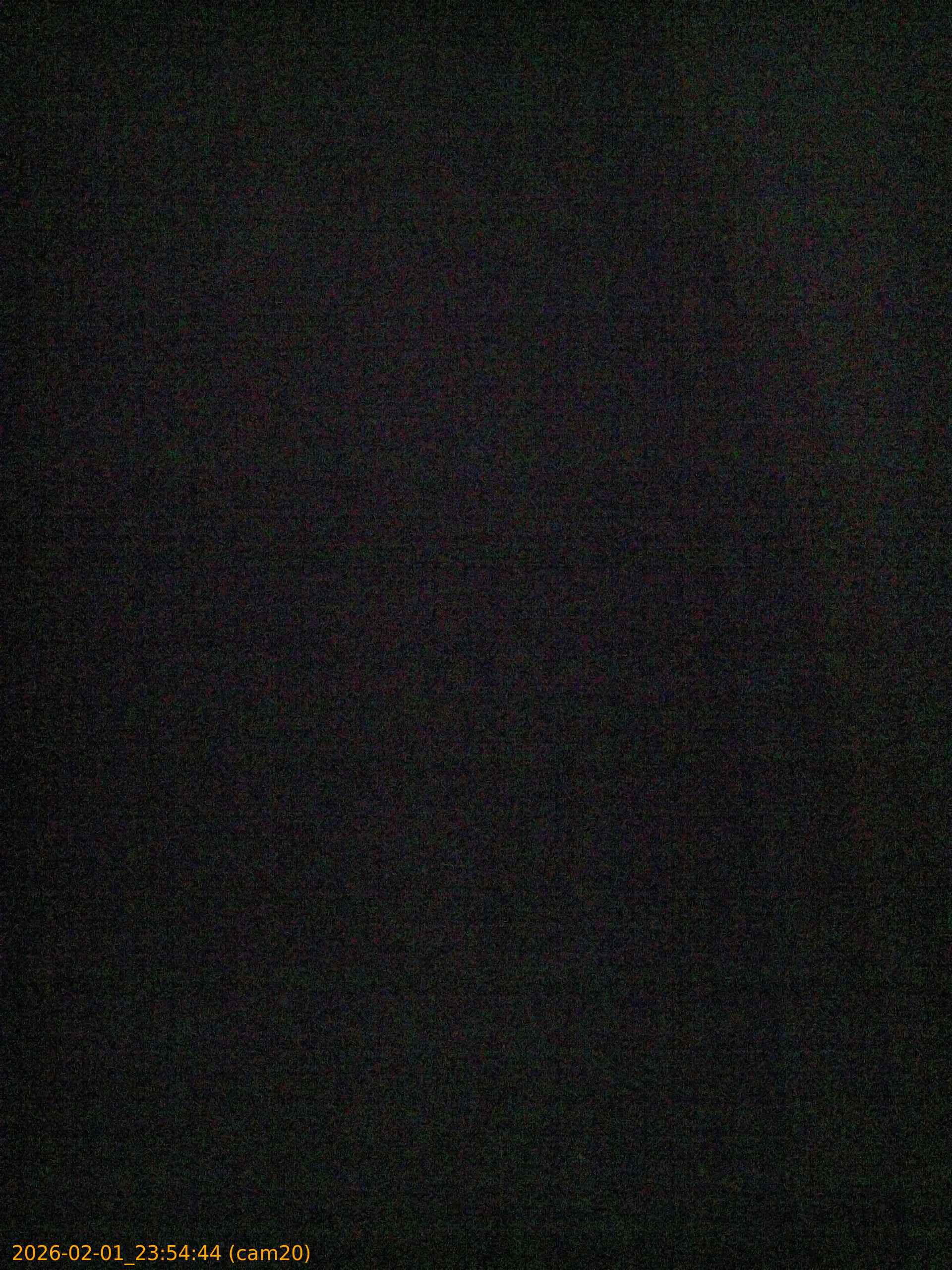 thumbnail_20260201235444