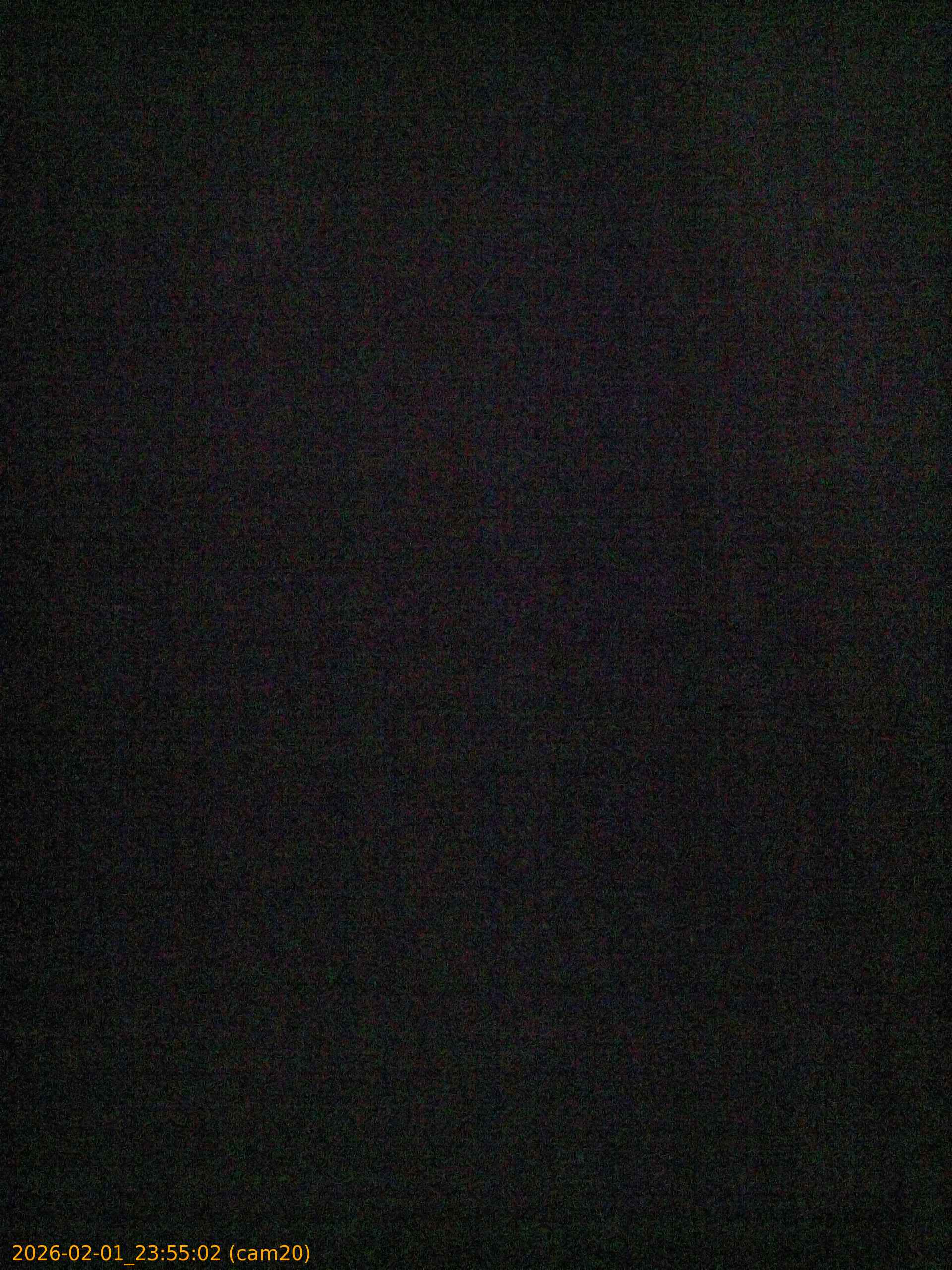 thumbnail_20260201235502