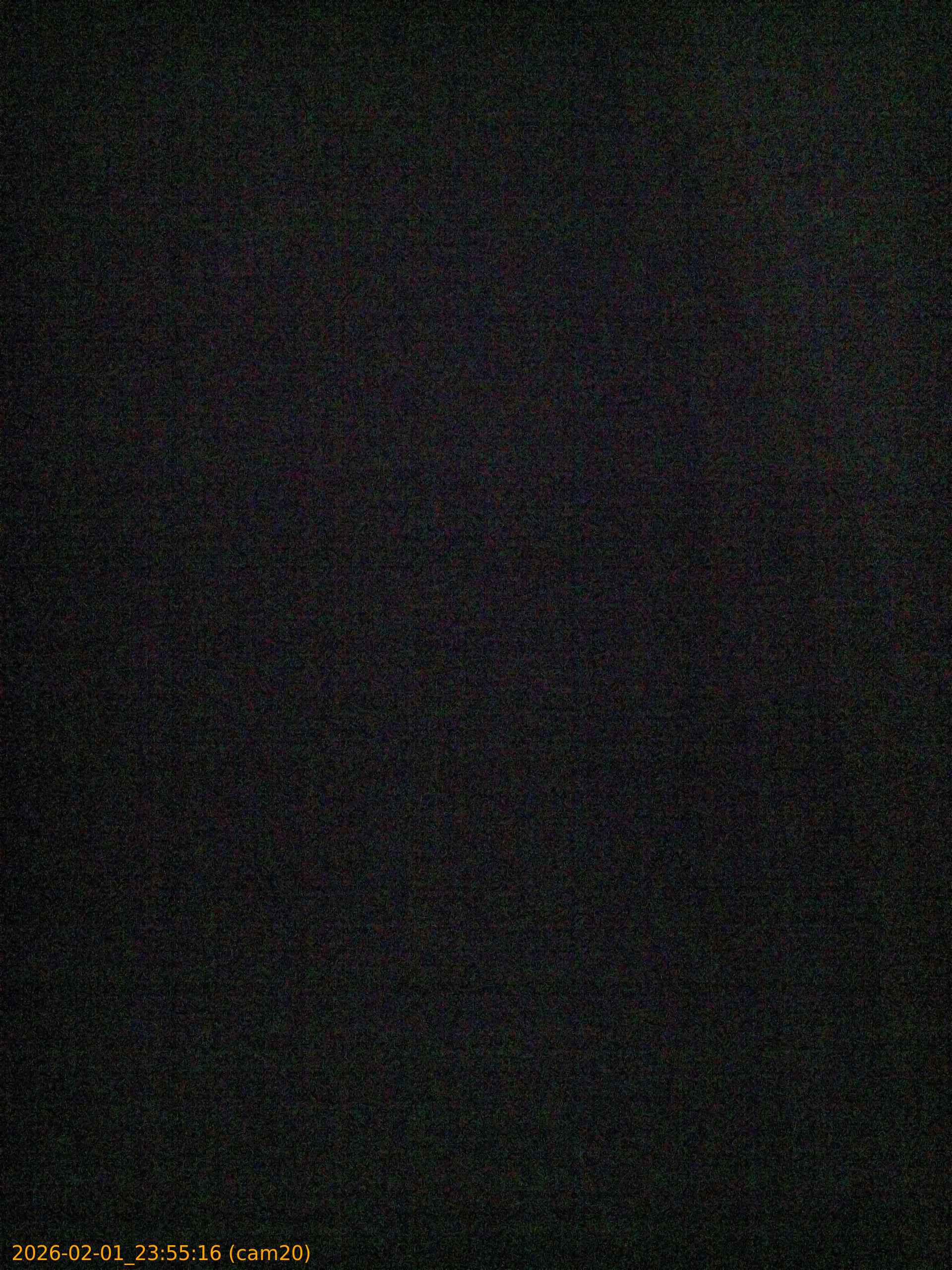 thumbnail_20260201235516