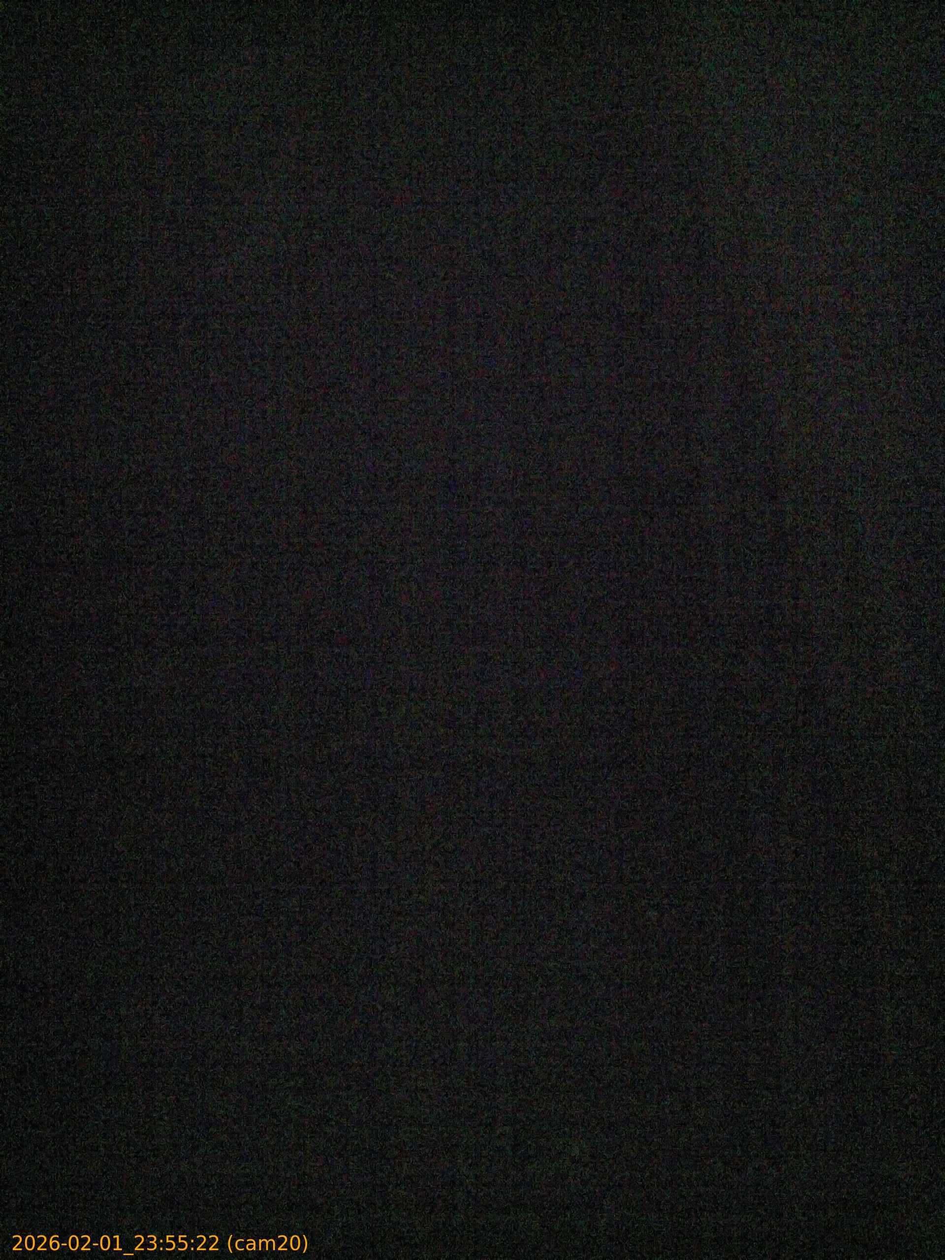 thumbnail_20260201235522